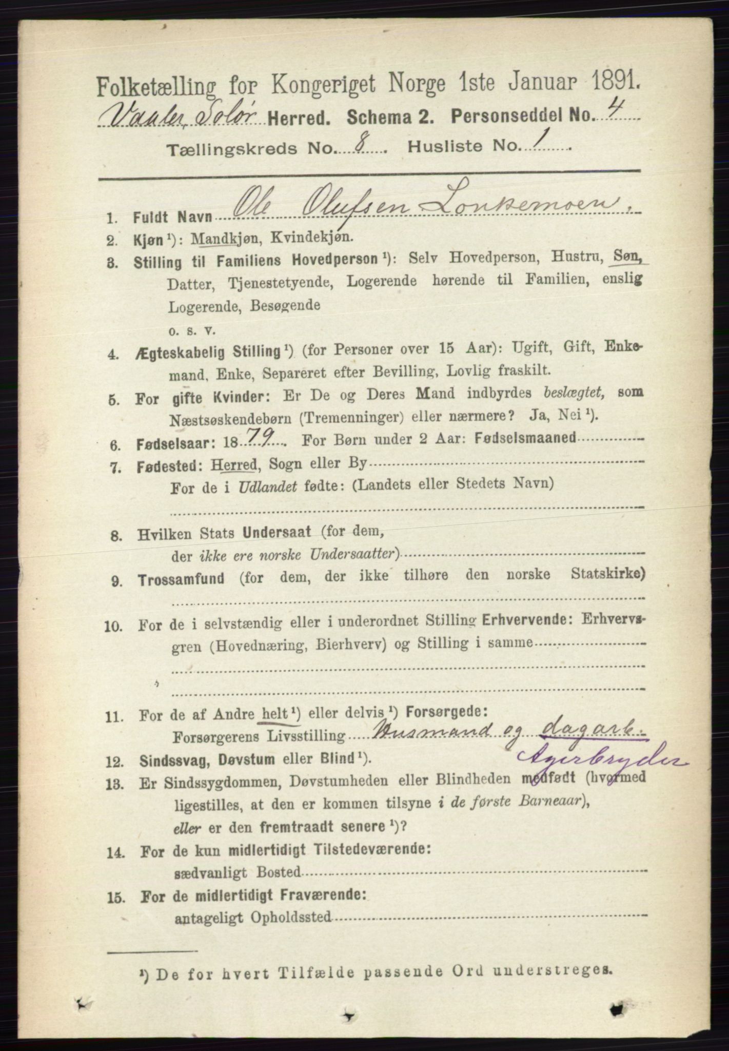 RA, 1891 census for 0426 Våler, 1891, p. 3355