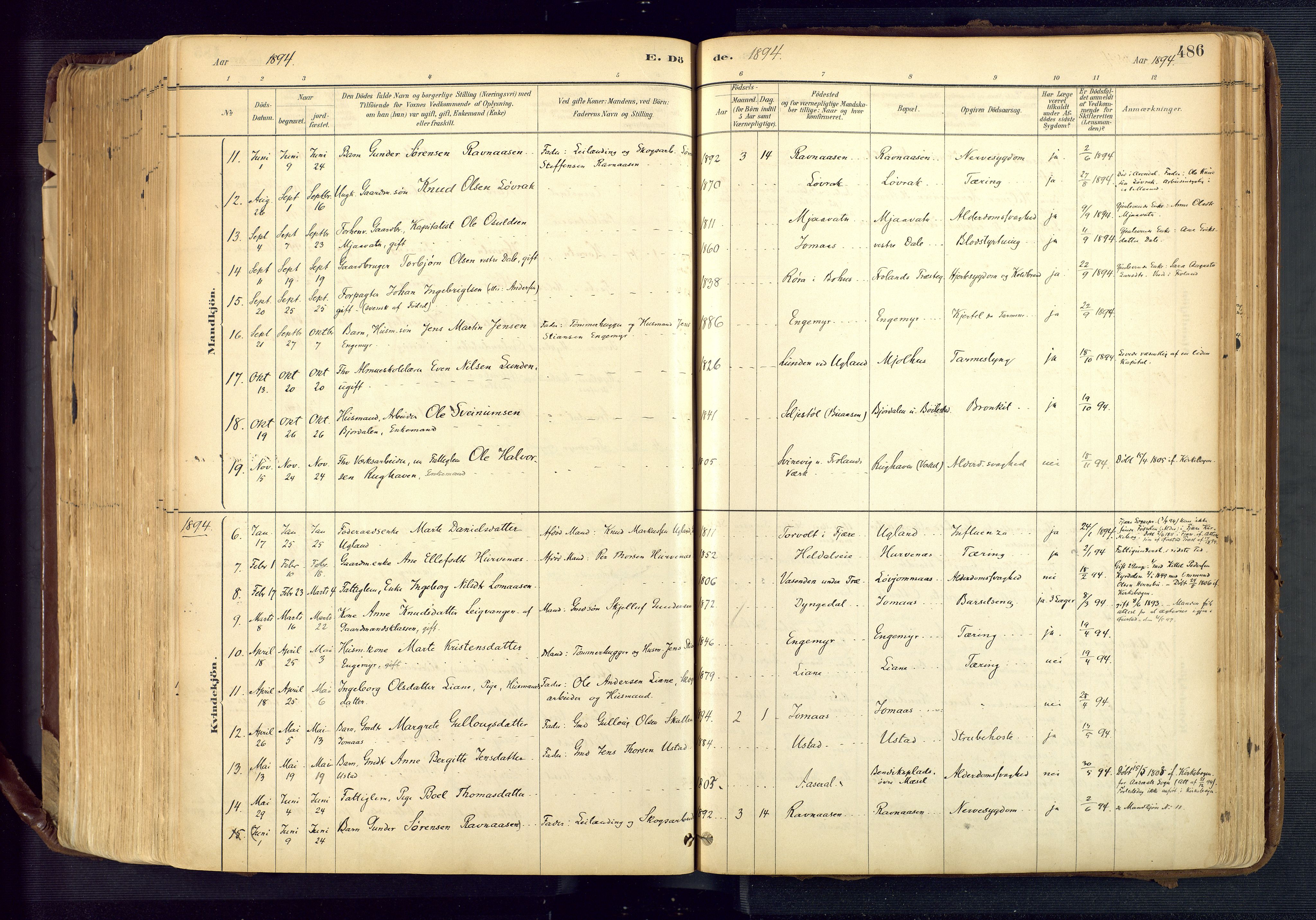 Froland sokneprestkontor, AV/SAK-1111-0013/F/Fa/L0005: Parish register (official) no. A 5, 1882-1921, p. 486