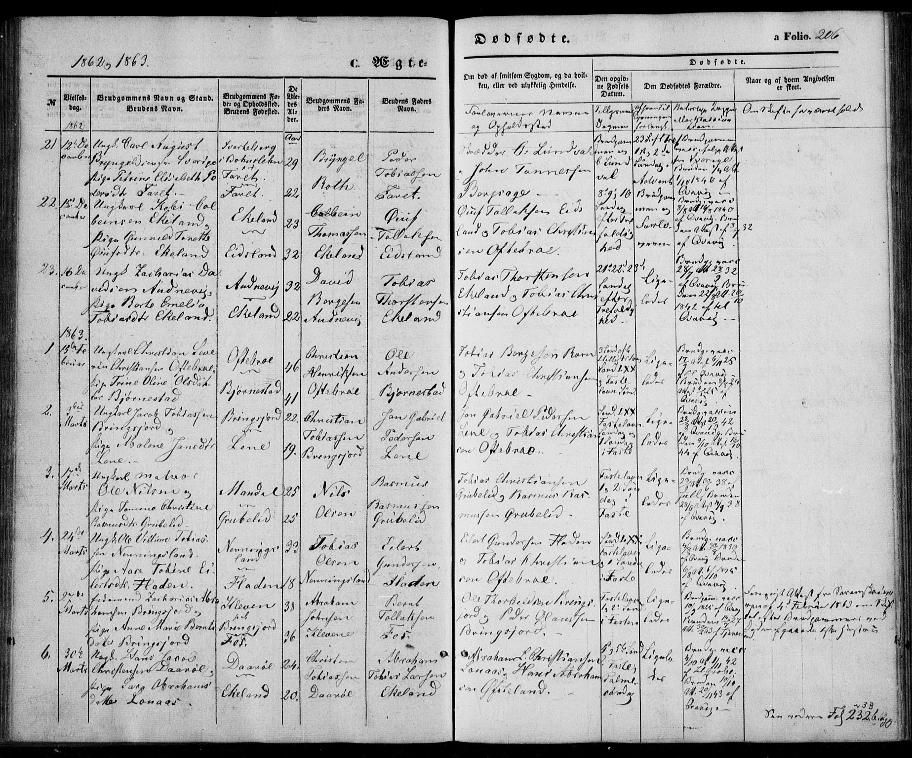 Lyngdal sokneprestkontor, SAK/1111-0029/F/Fa/Fac/L0009: Parish register (official) no. A 9, 1852-1864, p. 206