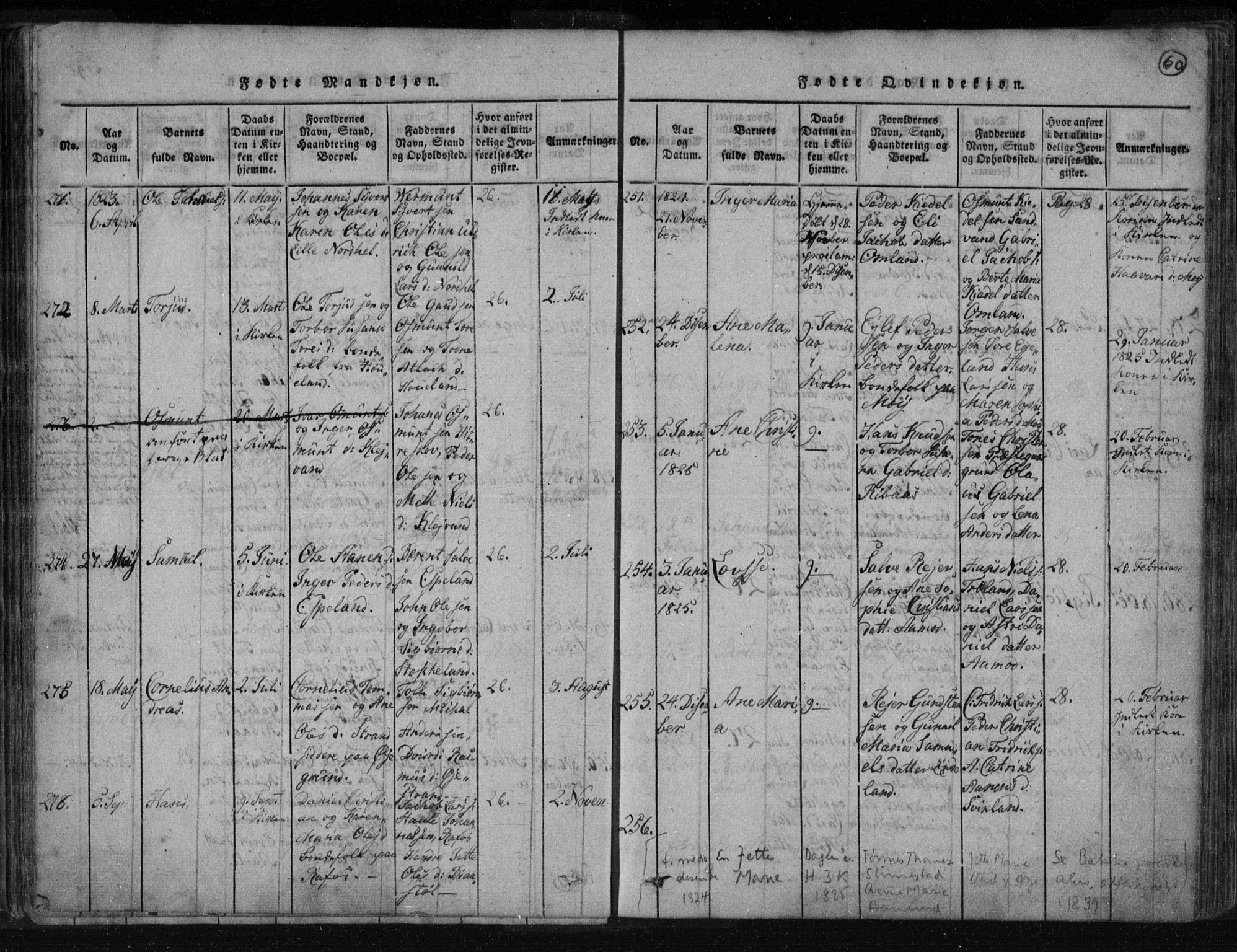 Kvinesdal sokneprestkontor, SAK/1111-0026/F/Fa/Fab/L0003: Parish register (official) no. A 3, 1815-1829, p. 60