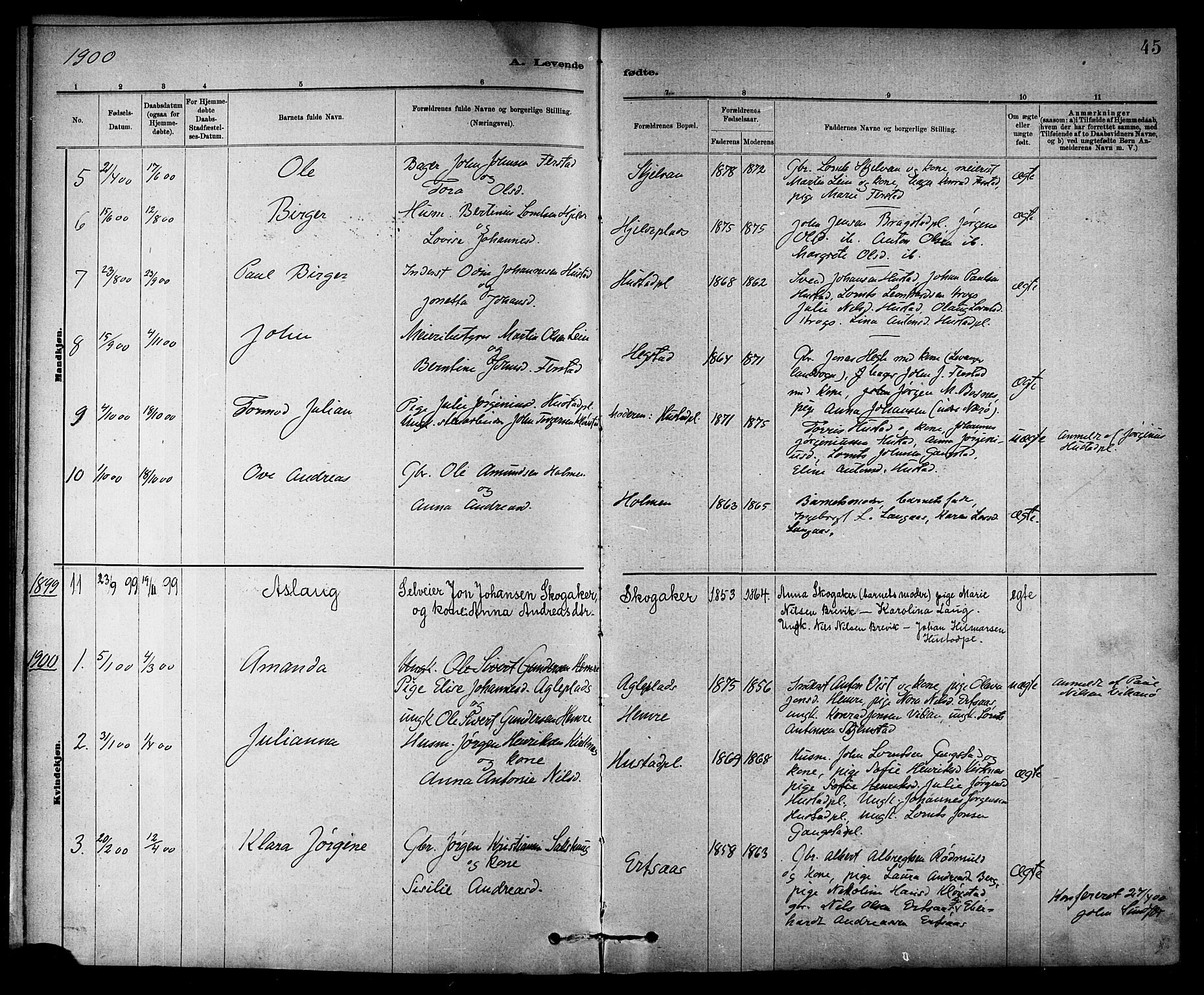 Ministerialprotokoller, klokkerbøker og fødselsregistre - Nord-Trøndelag, SAT/A-1458/732/L0318: Parish register (copy) no. 732C02, 1881-1911, p. 45