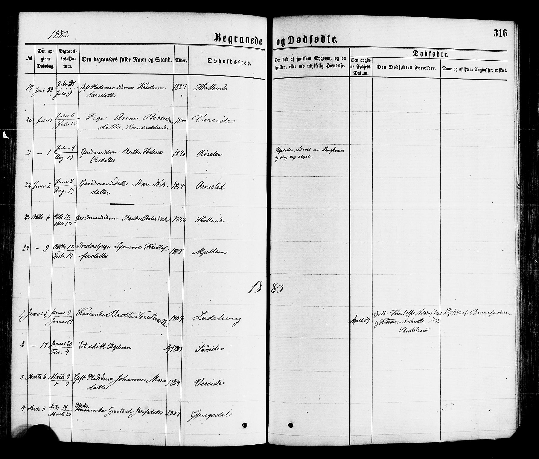 Gloppen sokneprestembete, SAB/A-80101/H/Haa/Haaa/L0010: Parish register (official) no. A 10, 1871-1884, p. 316