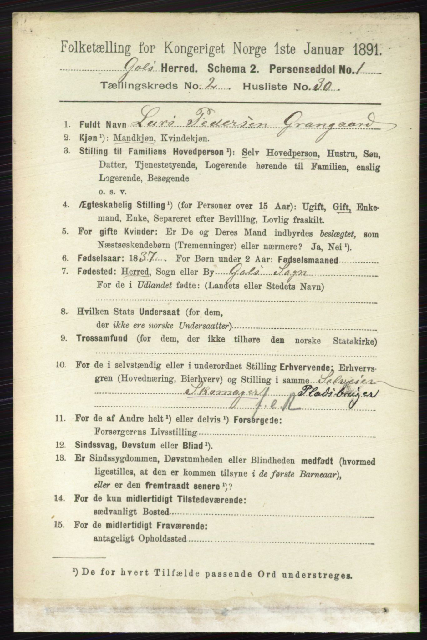 RA, 1891 census for 0617 Gol og Hemsedal, 1891, p. 874