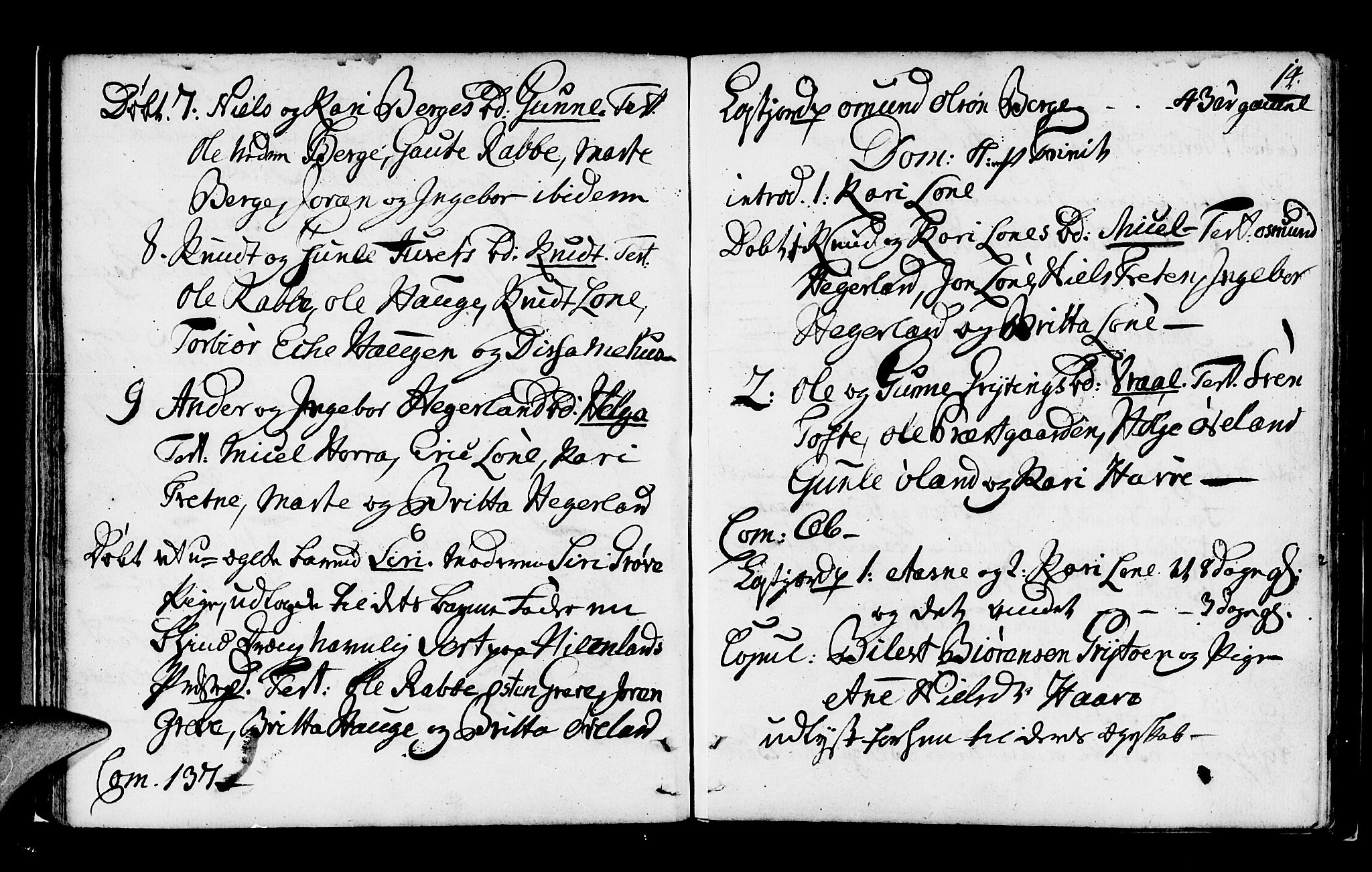 Røldal sokneprestembete, SAB/A-100247: Parish register (official) no. A 1, 1780-1816, p. 14
