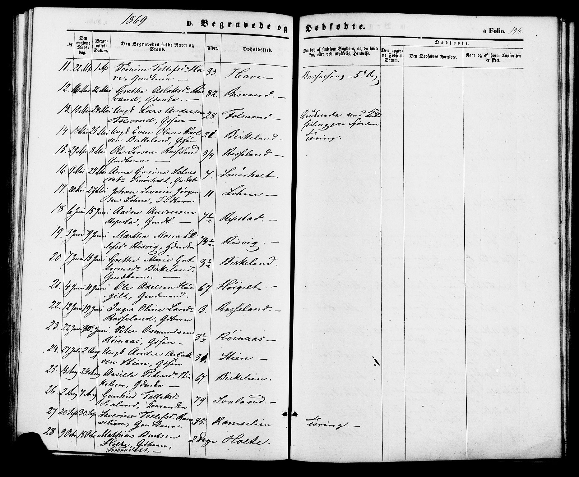 Birkenes sokneprestkontor, AV/SAK-1111-0004/F/Fa/L0004: Parish register (official) no. A 4, 1867-1886, p. 196