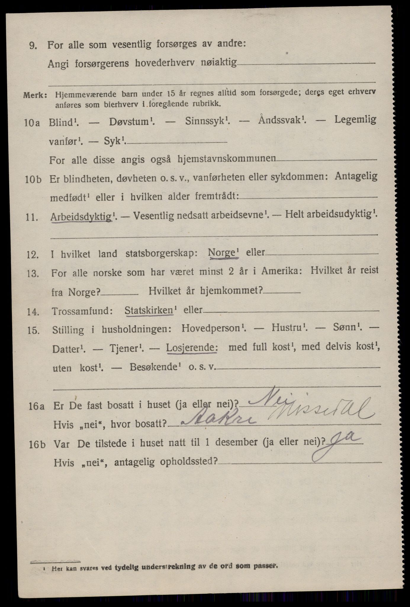 SAKO, 1920 census for Nissedal, 1920, p. 3486