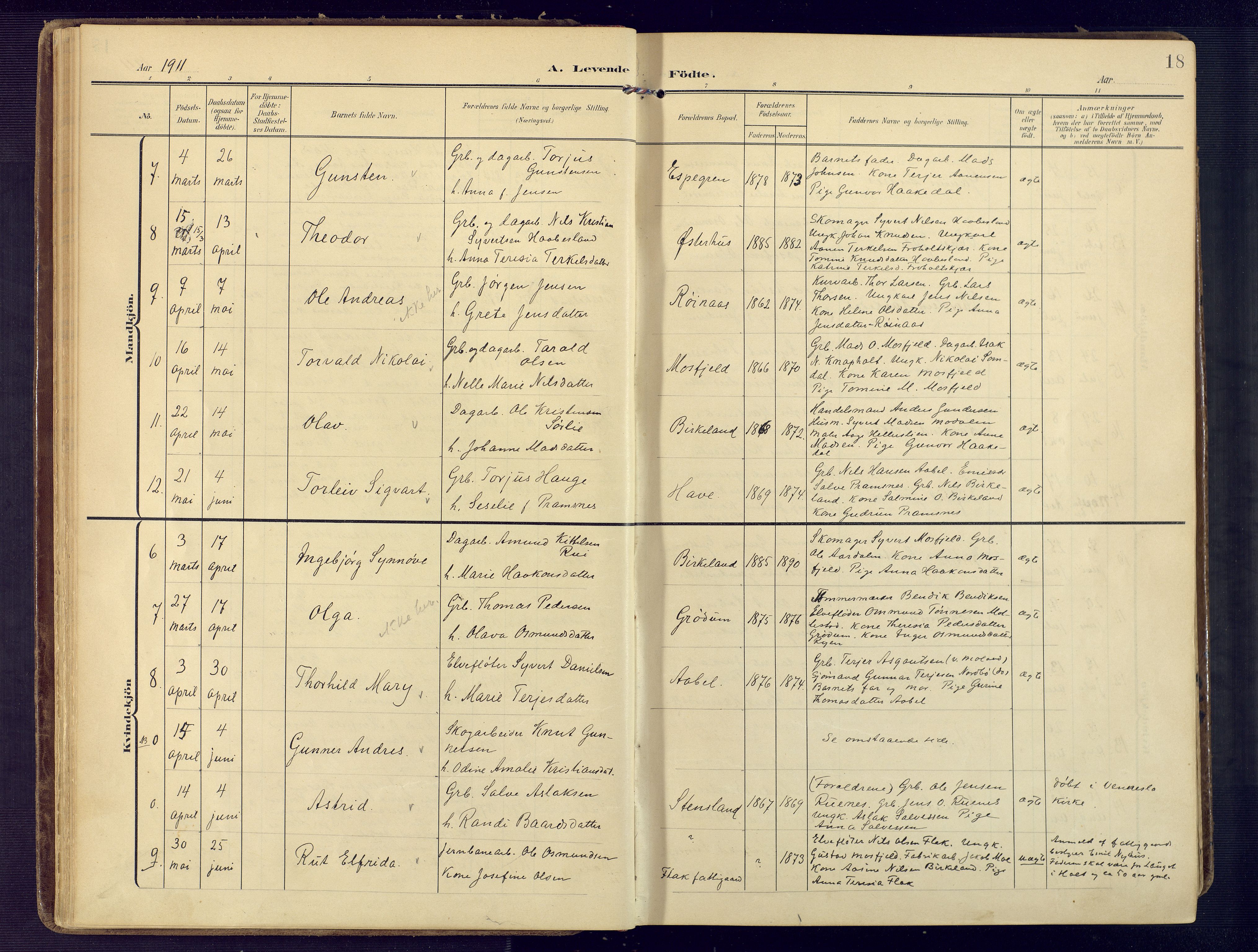Birkenes sokneprestkontor, SAK/1111-0004/F/Fa/L0006: Parish register (official) no. A 6, 1908-1932, p. 18
