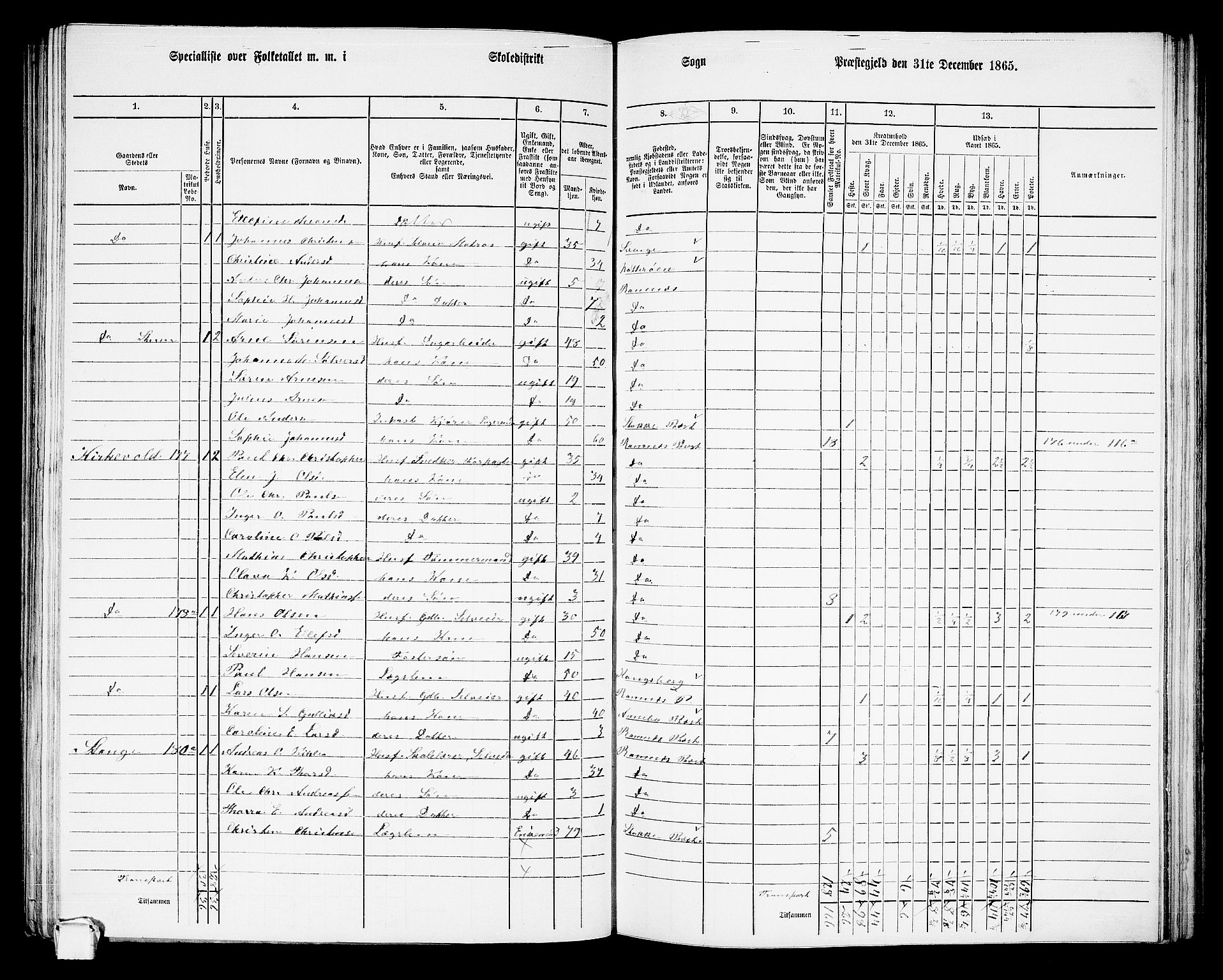 RA, 1865 census for Ramnes, 1865, p. 32