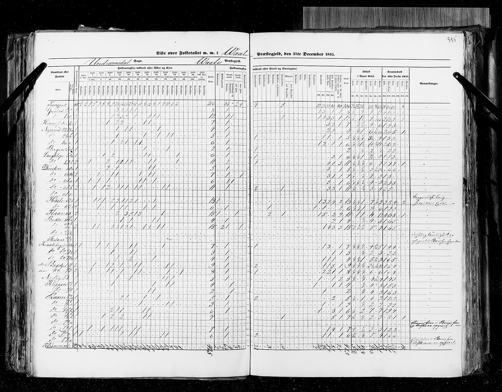 RA, Census 1845, vol. 4: Buskerud amt og Jarlsberg og Larvik amt, 1845, p. 335