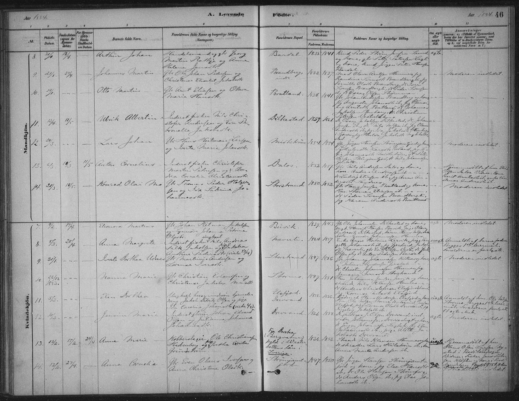 Ministerialprotokoller, klokkerbøker og fødselsregistre - Nordland, AV/SAT-A-1459/825/L0361: Parish register (official) no. 825A15, 1878-1893, p. 46