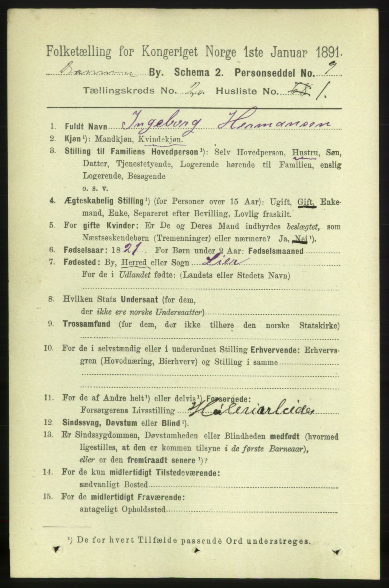 RA, 1891 census for 0602 Drammen, 1891, p. 12513