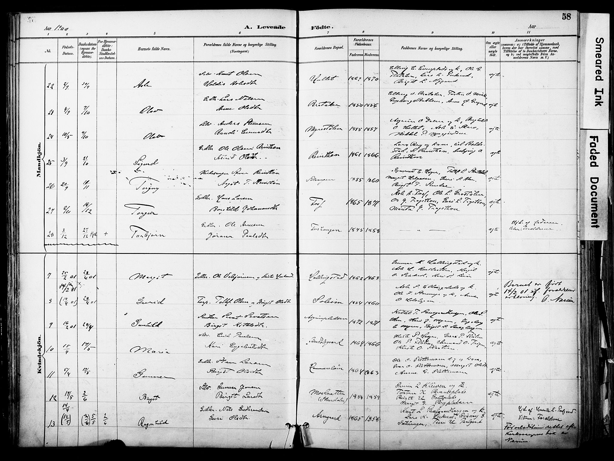 Hol kirkebøker, AV/SAKO-A-227/F/Fa/L0003: Parish register (official) no. I 3, 1887-1918, p. 58