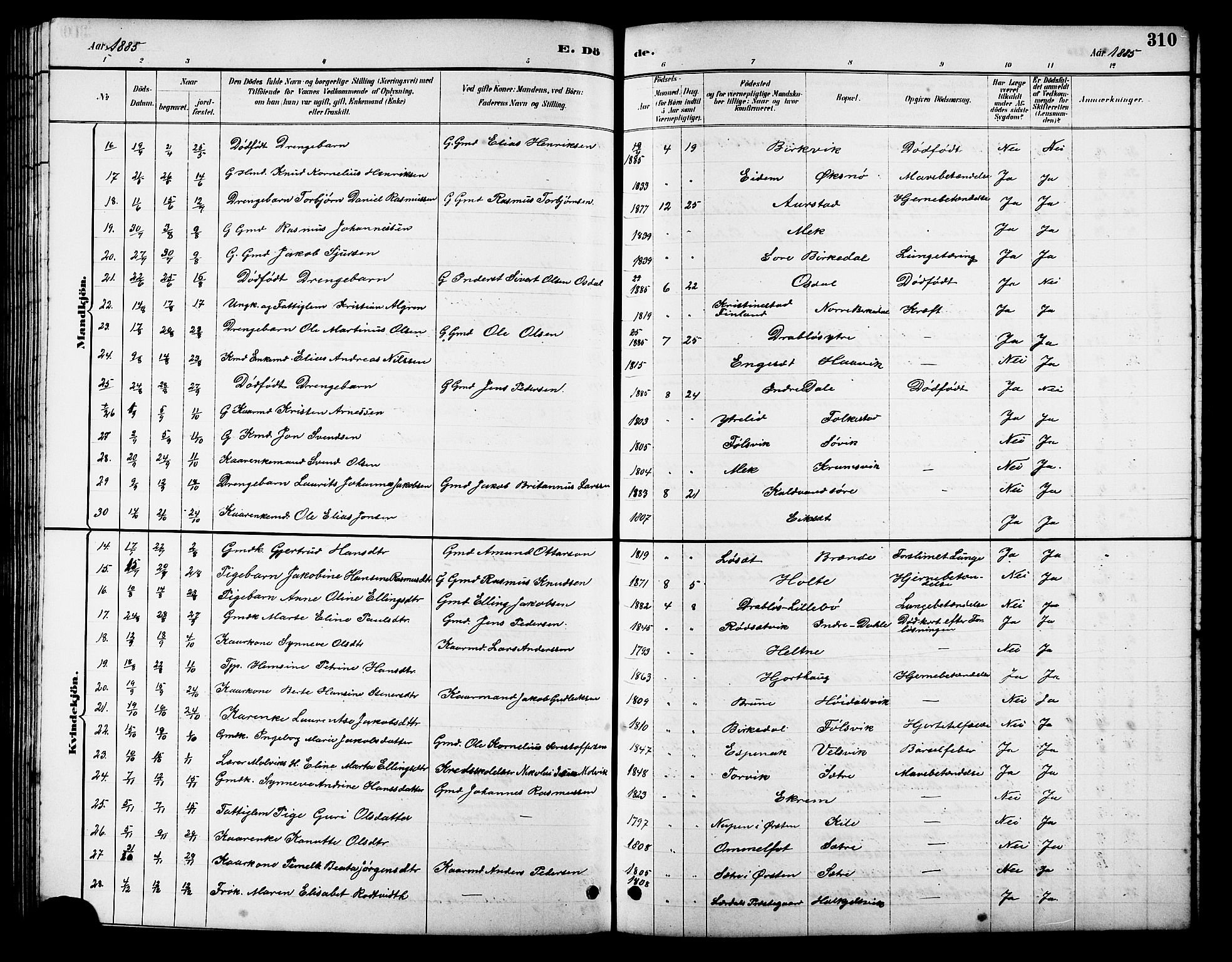 Ministerialprotokoller, klokkerbøker og fødselsregistre - Møre og Romsdal, AV/SAT-A-1454/511/L0158: Parish register (copy) no. 511C04, 1884-1903, p. 310