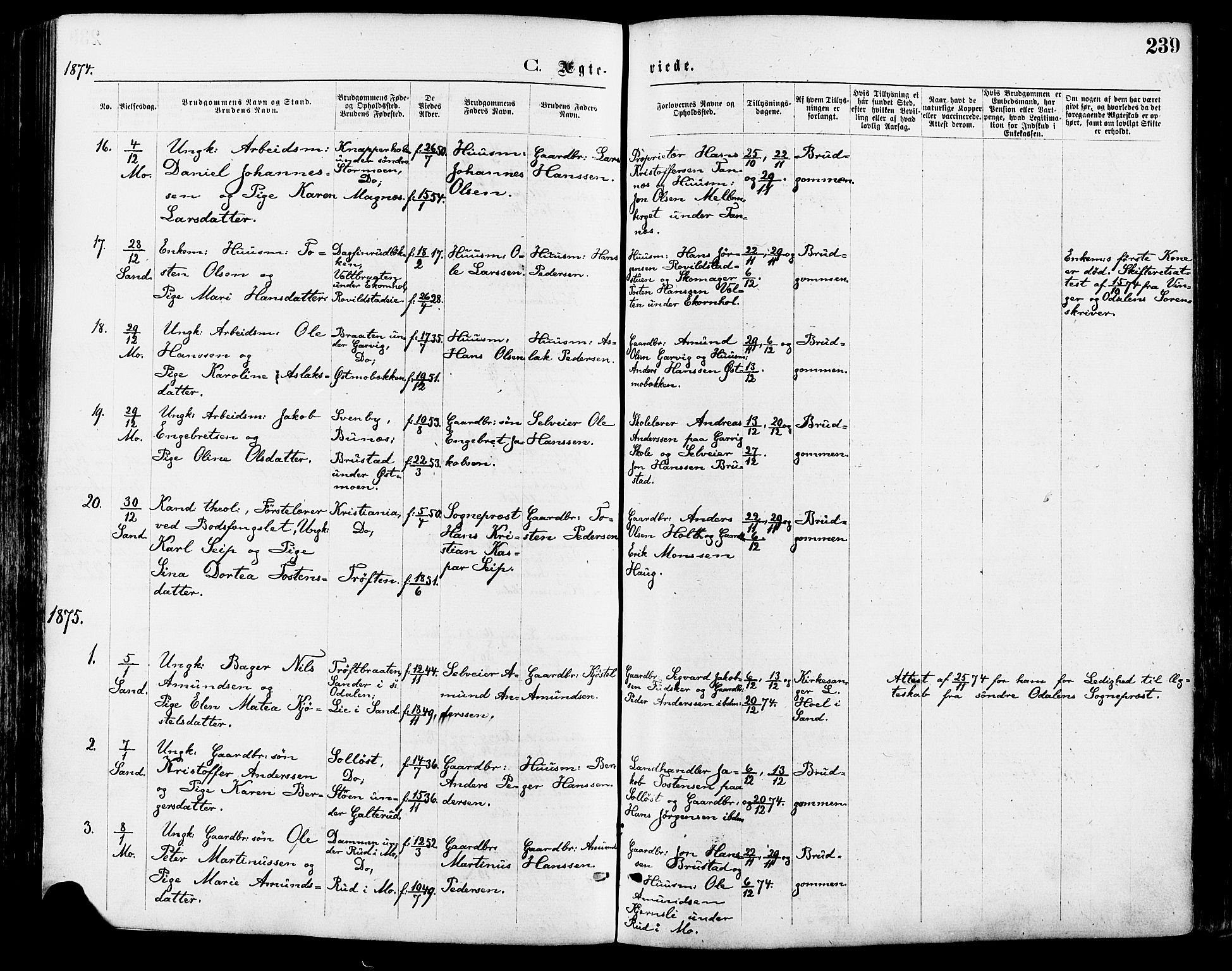 Nord-Odal prestekontor, AV/SAH-PREST-032/H/Ha/Haa/L0005: Parish register (official) no. 5, 1874-1885, p. 239