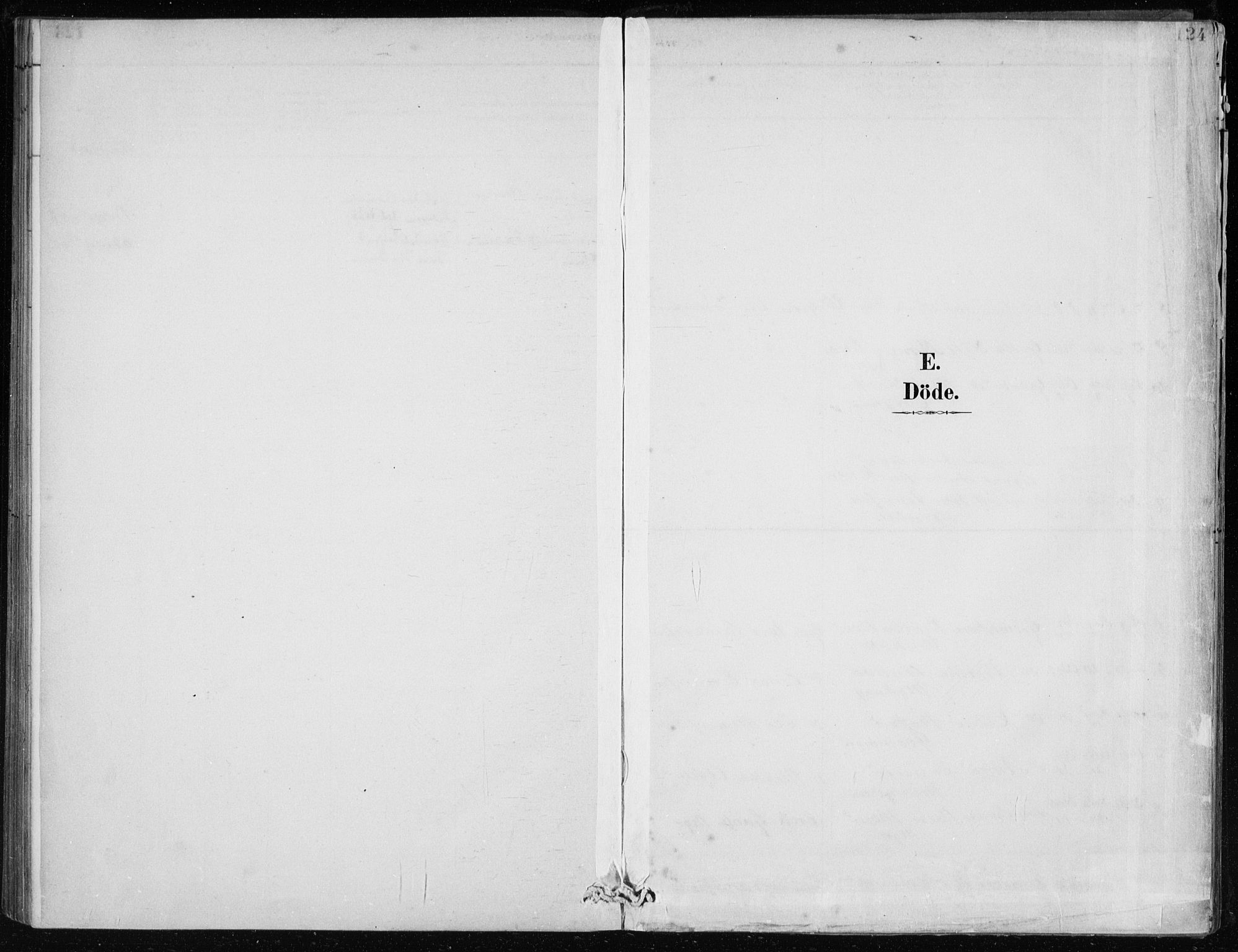 Lindås Sokneprestembete, SAB/A-76701/H/Haa: Parish register (official) no. F  1, 1886-1897, p. 124