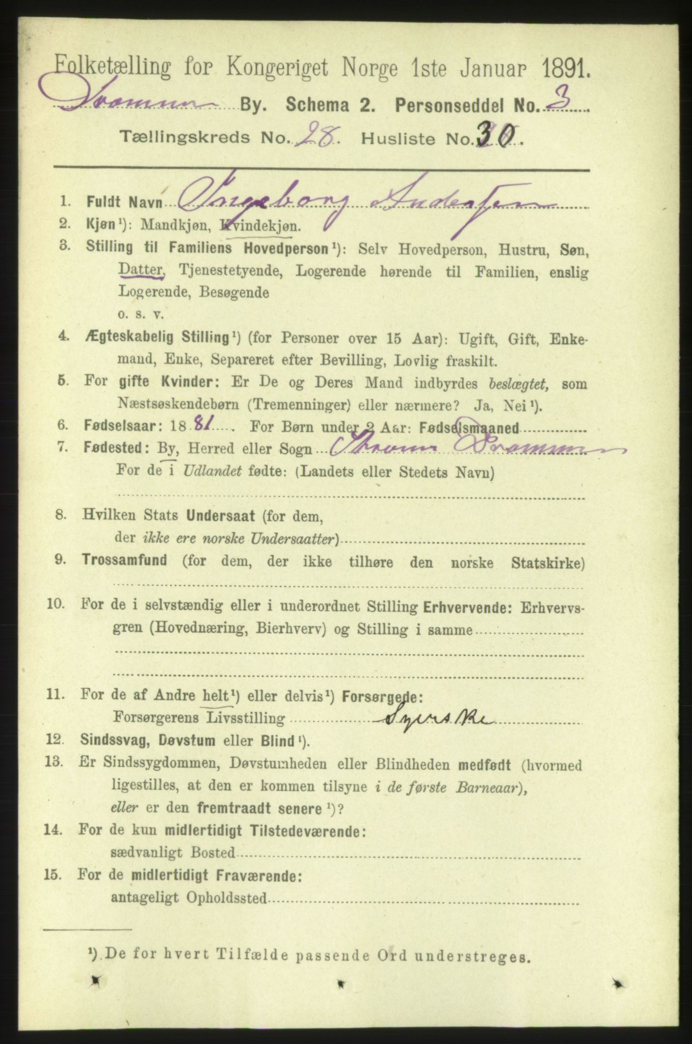 RA, 1891 census for 0602 Drammen, 1891, p. 17082