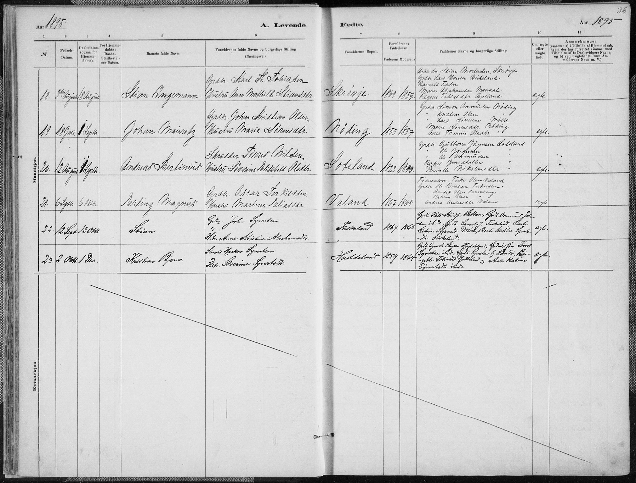 Holum sokneprestkontor, SAK/1111-0022/F/Fa/Faa/L0007: Parish register (official) no. A 7, 1884-1907, p. 36