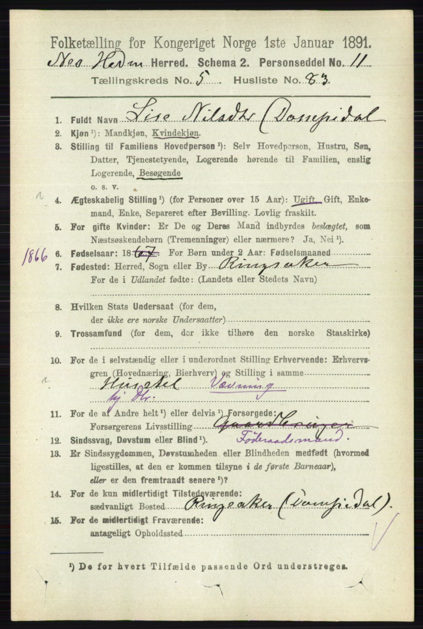 RA, 1891 census for 0411 Nes, 1891, p. 3149