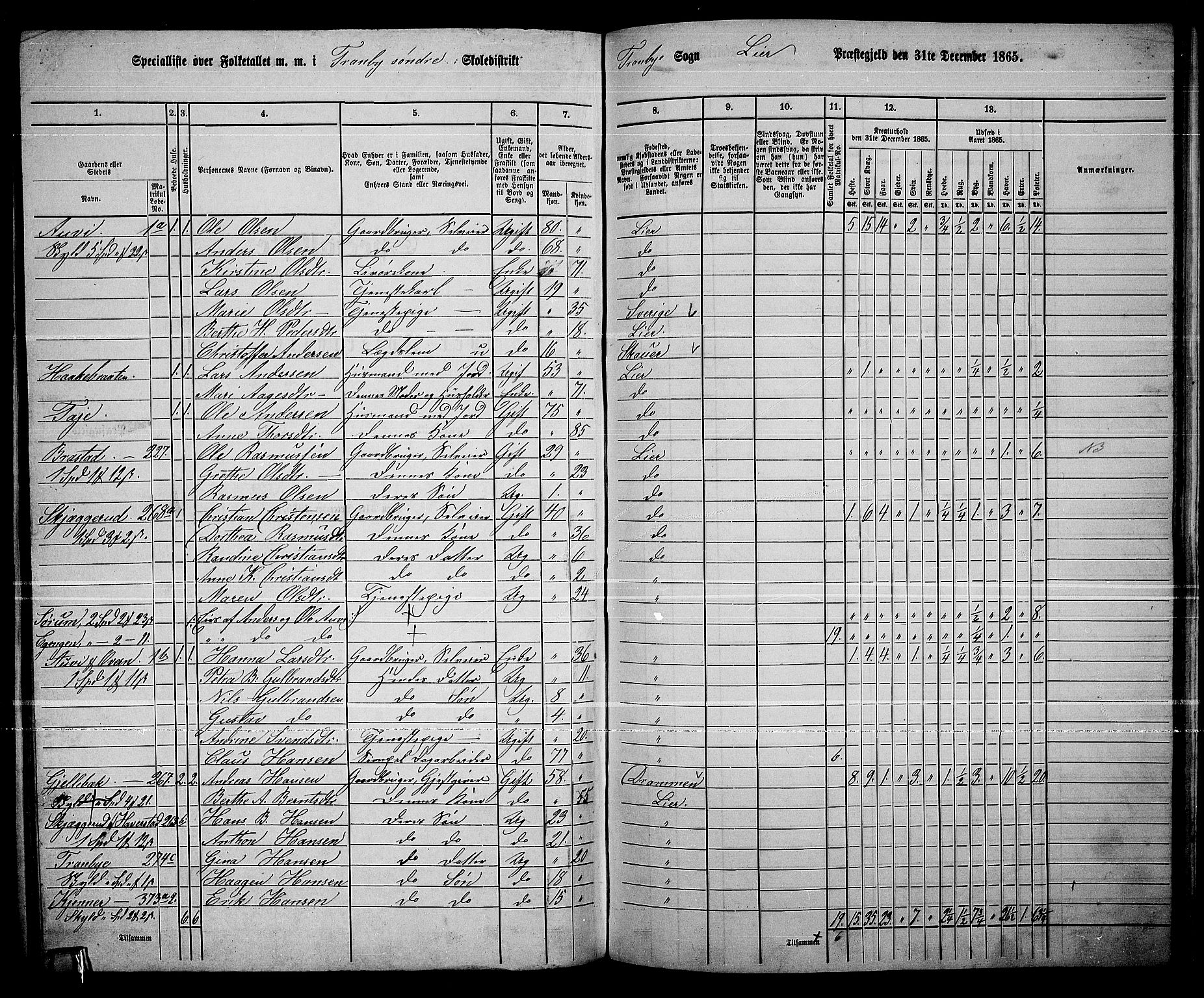 RA, 1865 census for Lier, 1865, p. 184