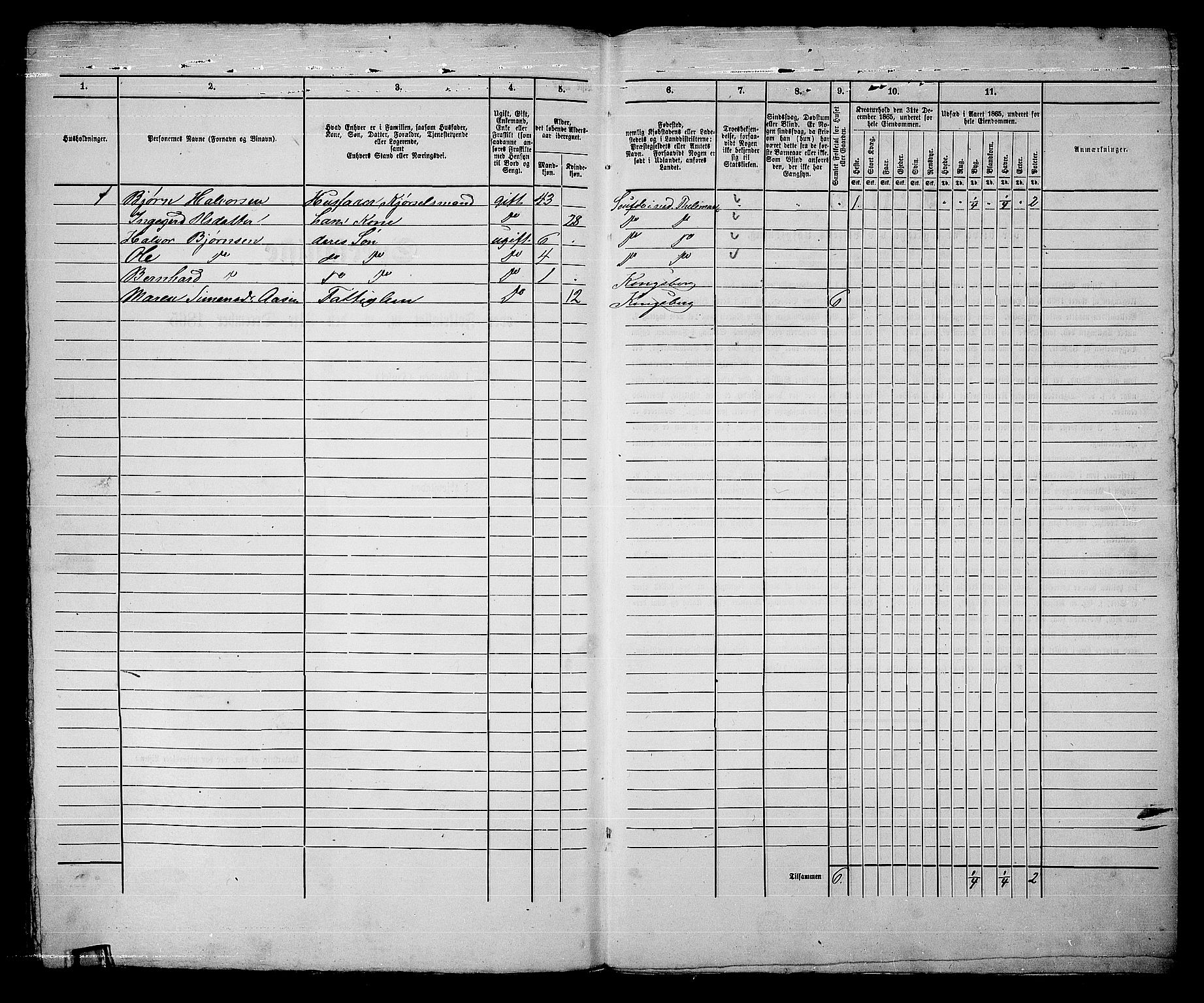 RA, 1865 census for Kongsberg/Kongsberg, 1865, p. 507