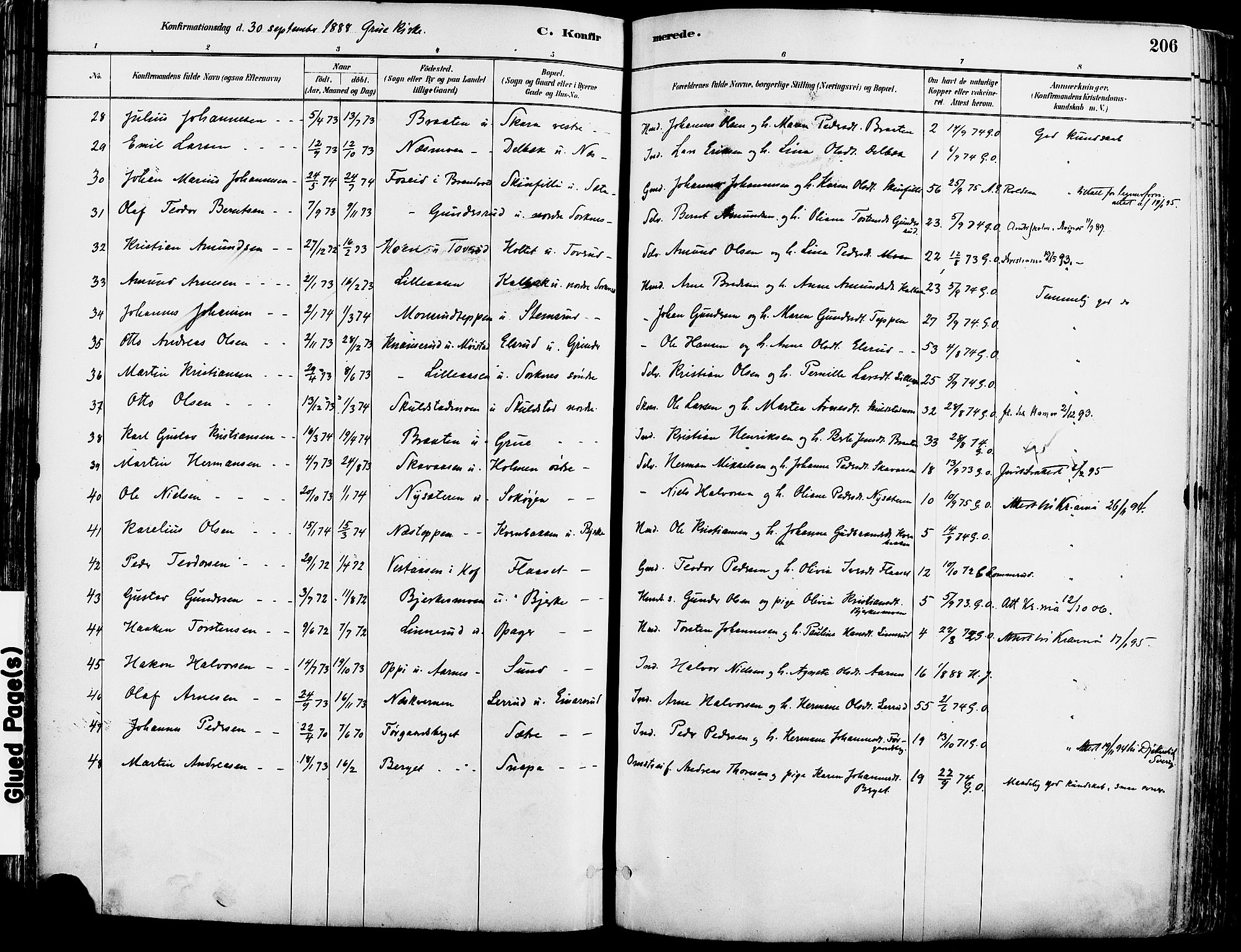 Grue prestekontor, AV/SAH-PREST-036/H/Ha/Haa/L0012: Parish register (official) no. 12, 1881-1897, p. 206