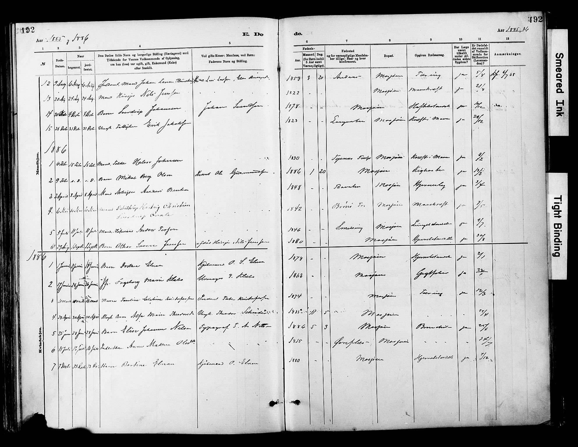 Ministerialprotokoller, klokkerbøker og fødselsregistre - Nordland, AV/SAT-A-1459/820/L0296: Parish register (official) no. 820A17, 1880-1903, p. 192