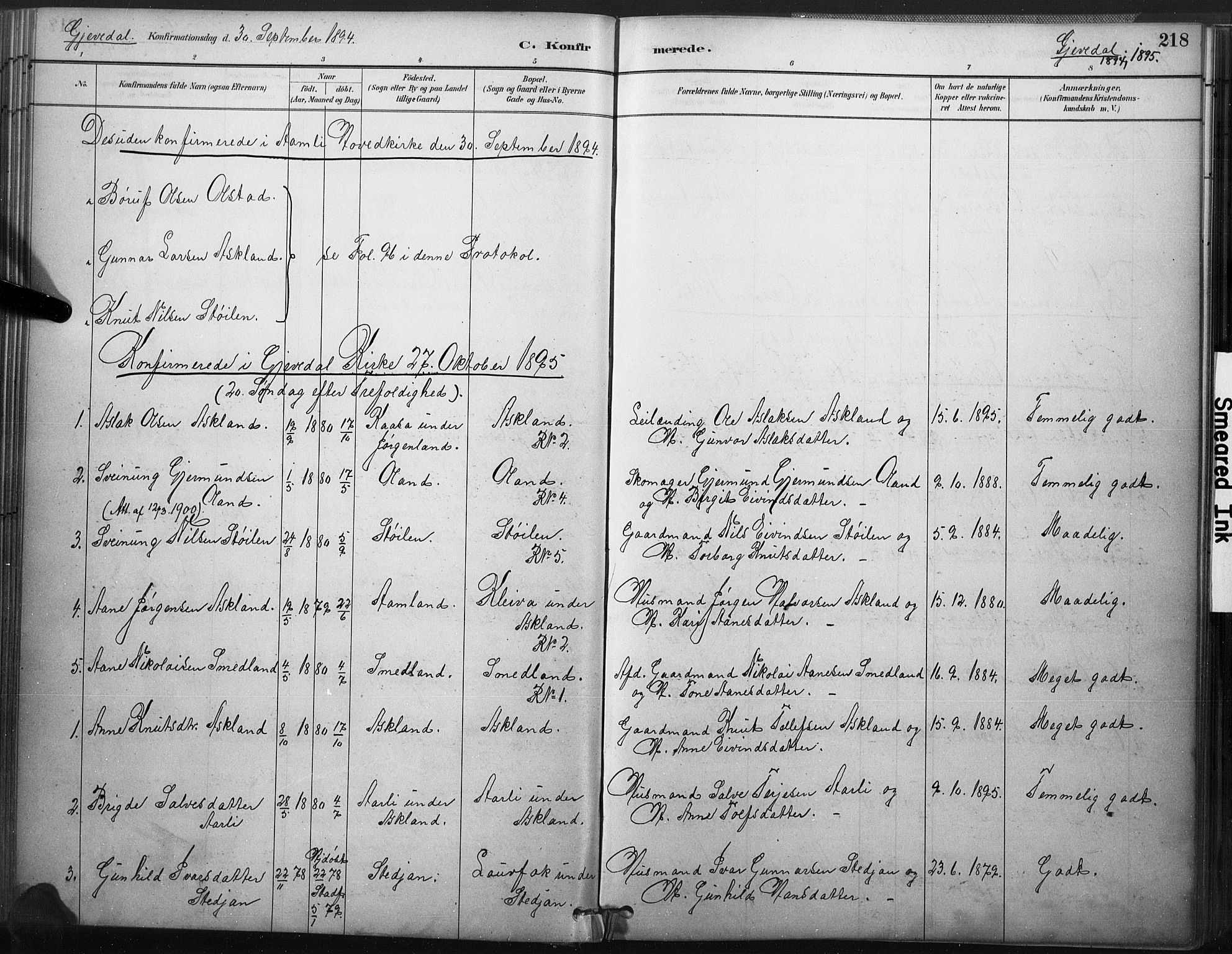 Åmli sokneprestkontor, SAK/1111-0050/F/Fa/Fac/L0010: Parish register (official) no. A 10 /2, 1885-1899, p. 218