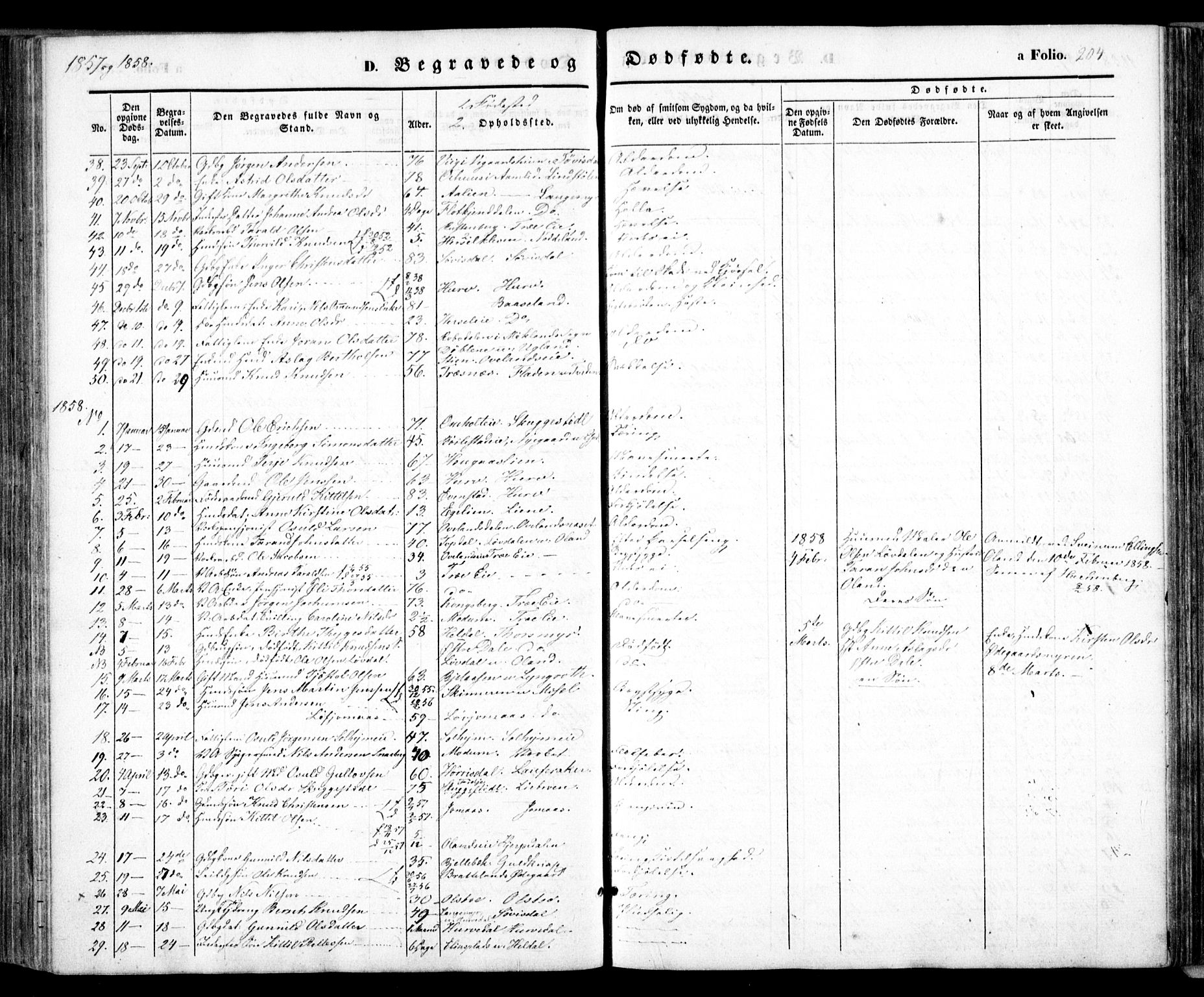 Froland sokneprestkontor, SAK/1111-0013/F/Fa/L0002: Parish register (official) no. A 2, 1845-1863, p. 204