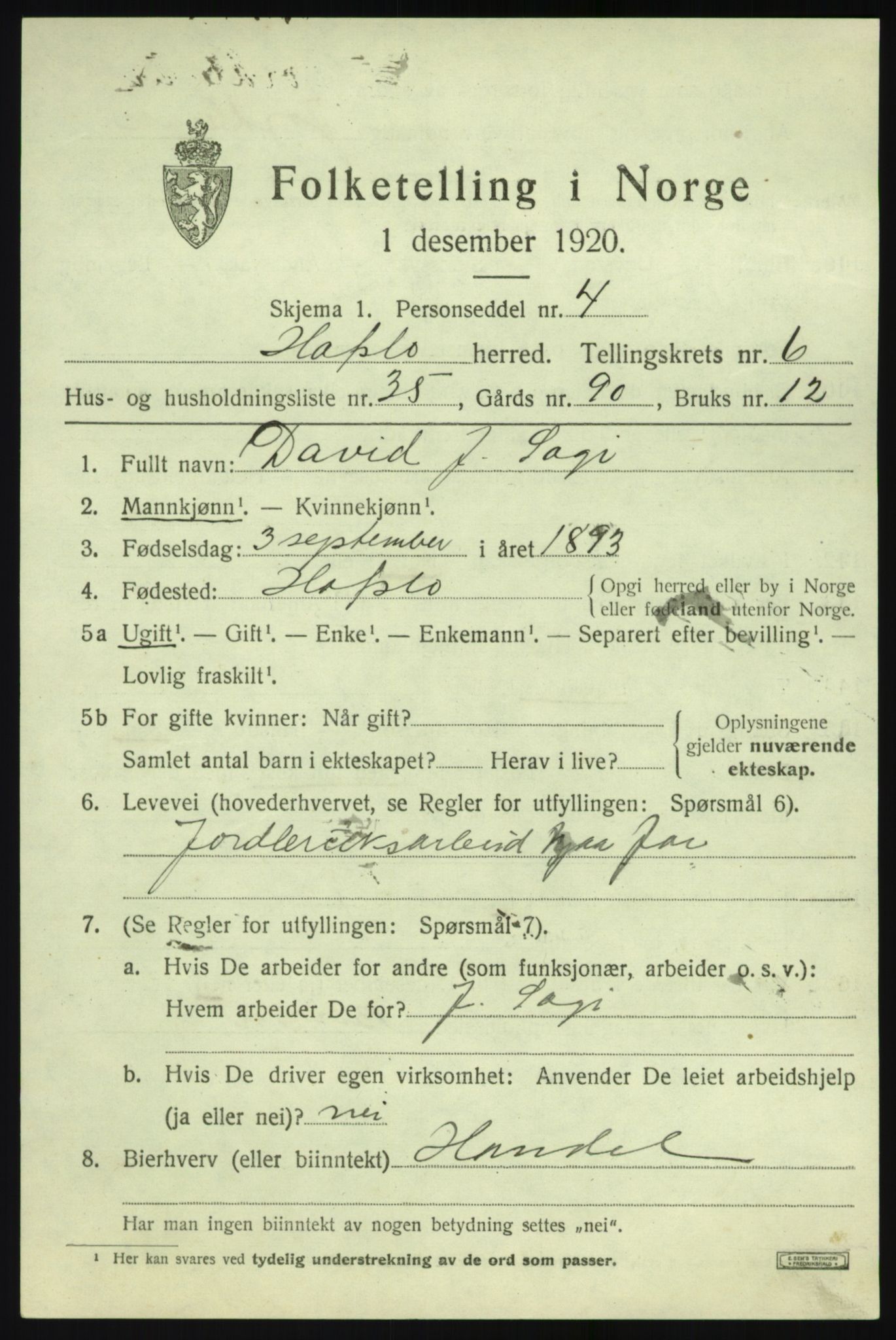 SAB, 1920 census for Hafslo, 1920, p. 4970