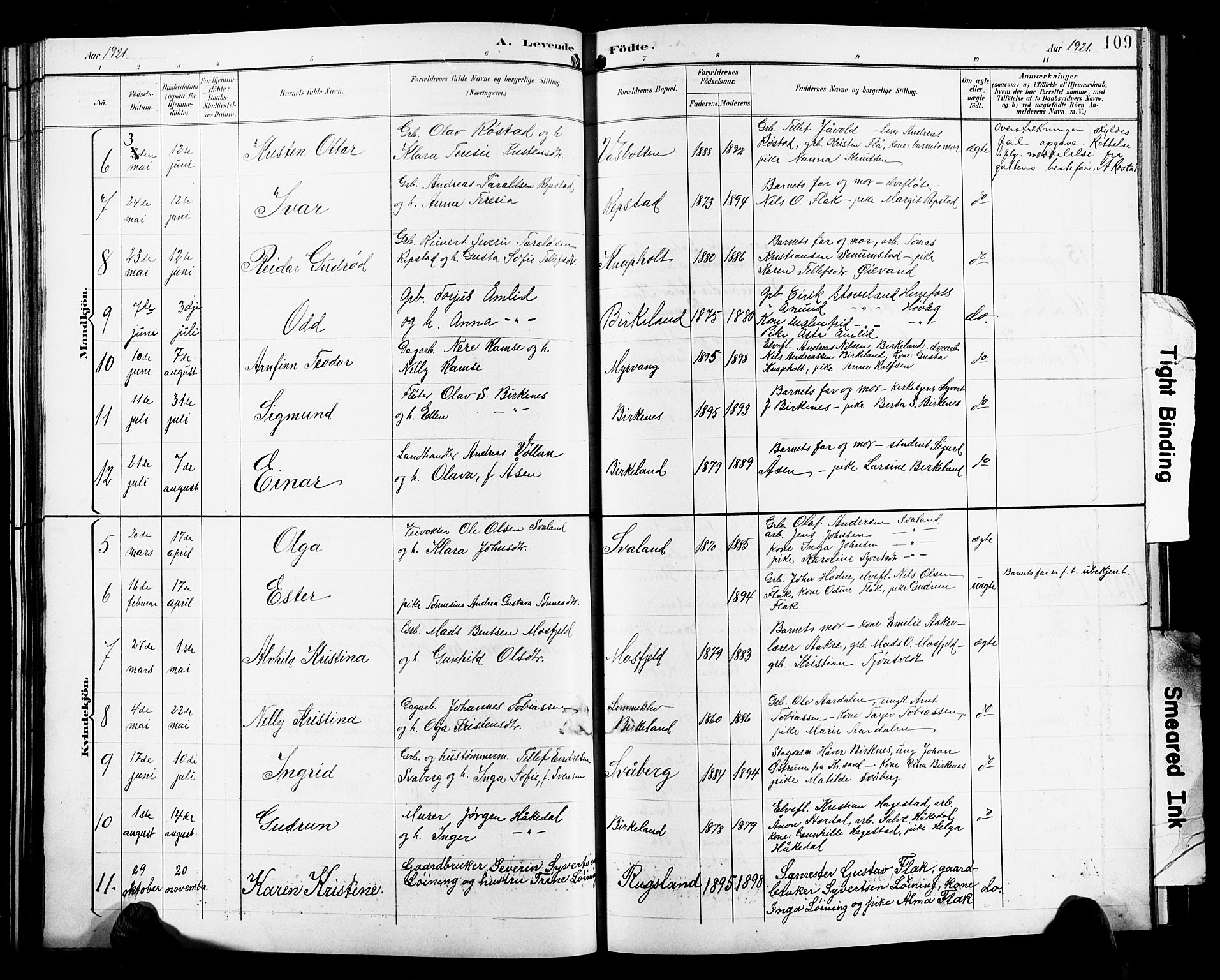 Birkenes sokneprestkontor, SAK/1111-0004/F/Fb/L0004: Parish register (copy) no. B 4, 1893-1930, p. 109