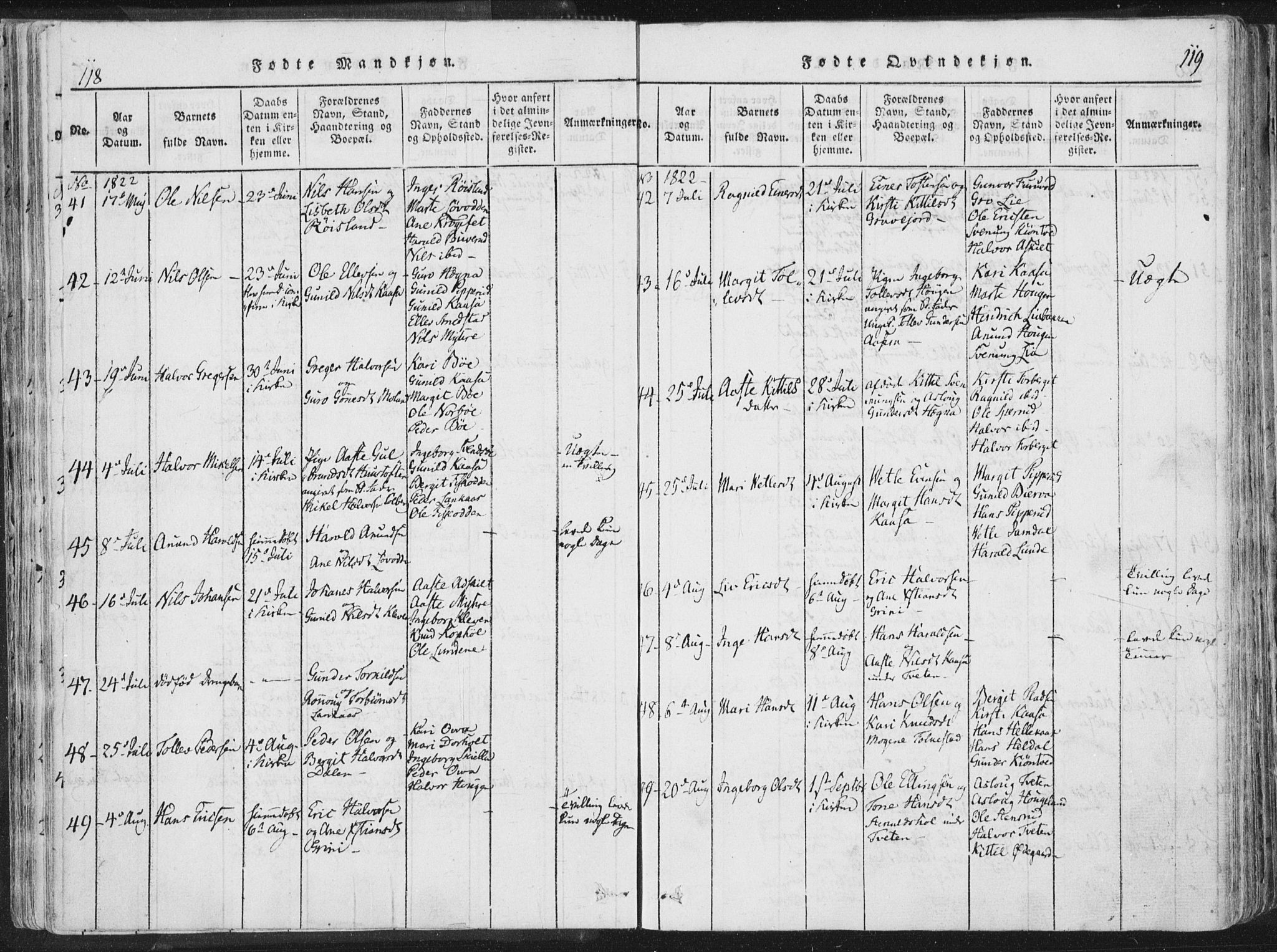 Bø kirkebøker, SAKO/A-257/F/Fa/L0006: Parish register (official) no. 6, 1815-1831, p. 118-119