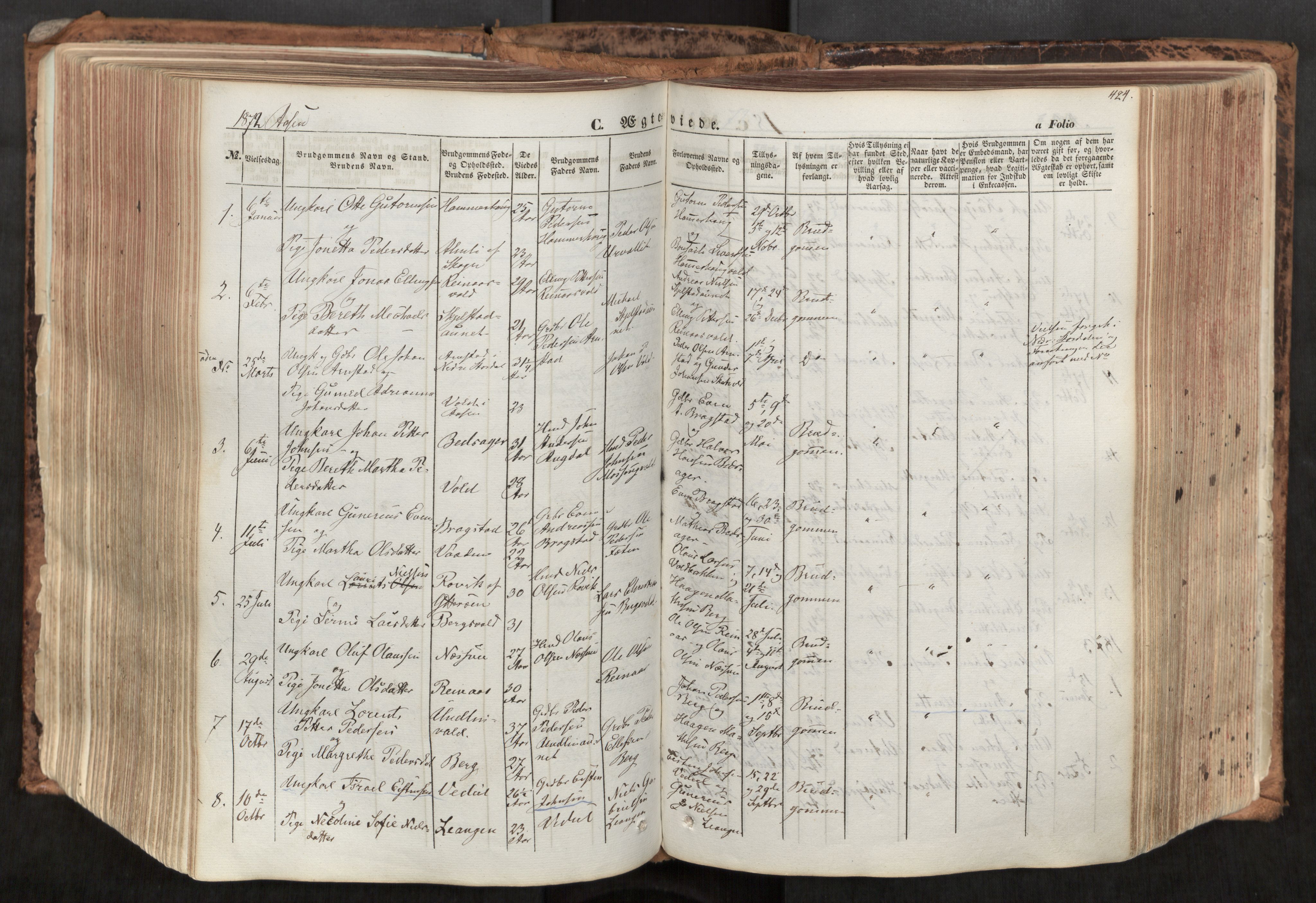 Ministerialprotokoller, klokkerbøker og fødselsregistre - Nord-Trøndelag, SAT/A-1458/713/L0116: Parish register (official) no. 713A07, 1850-1877, p. 424