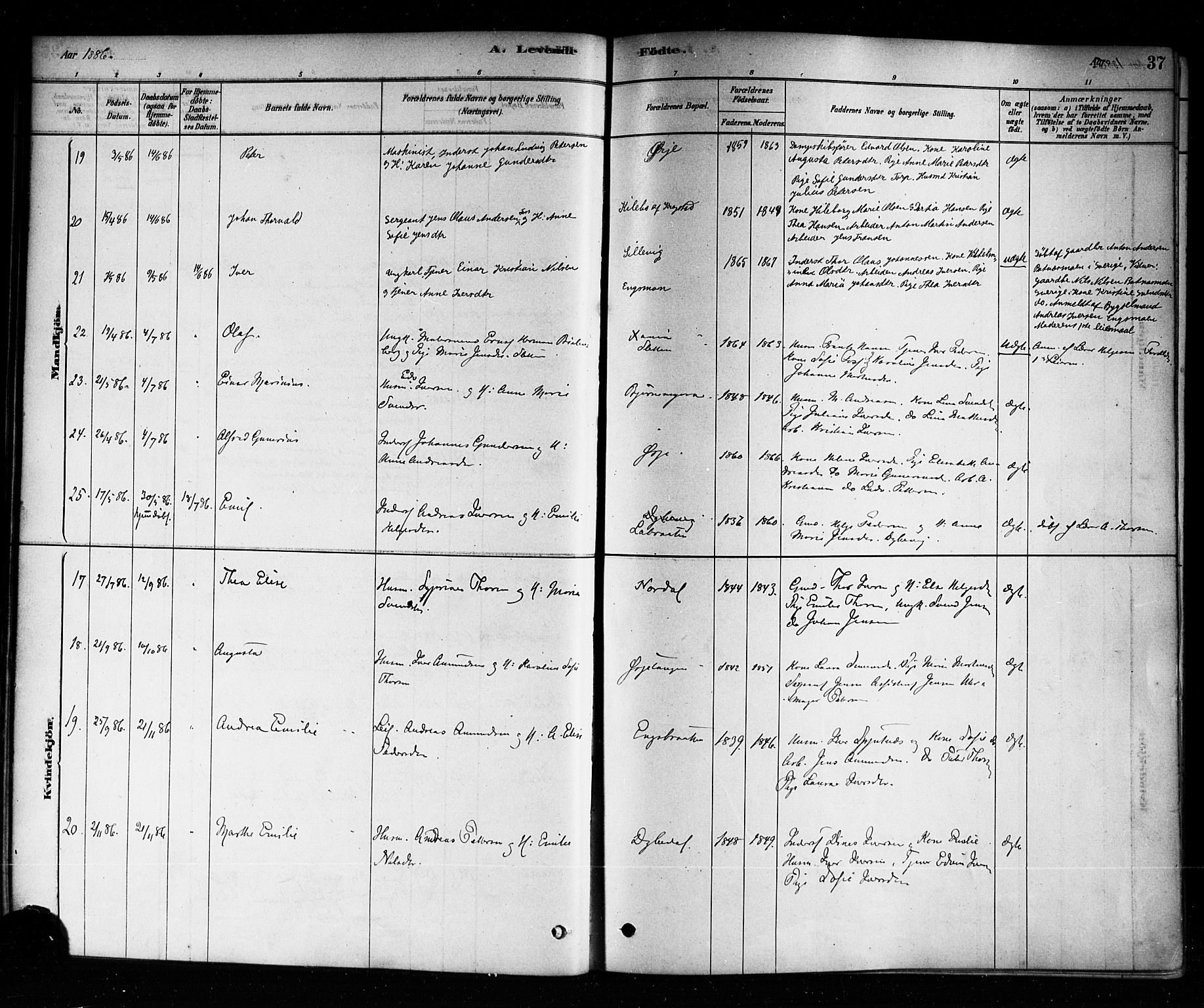Aremark prestekontor Kirkebøker, SAO/A-10899/F/Fb/L0004: Parish register (official) no. II 4, 1878-1895, p. 37