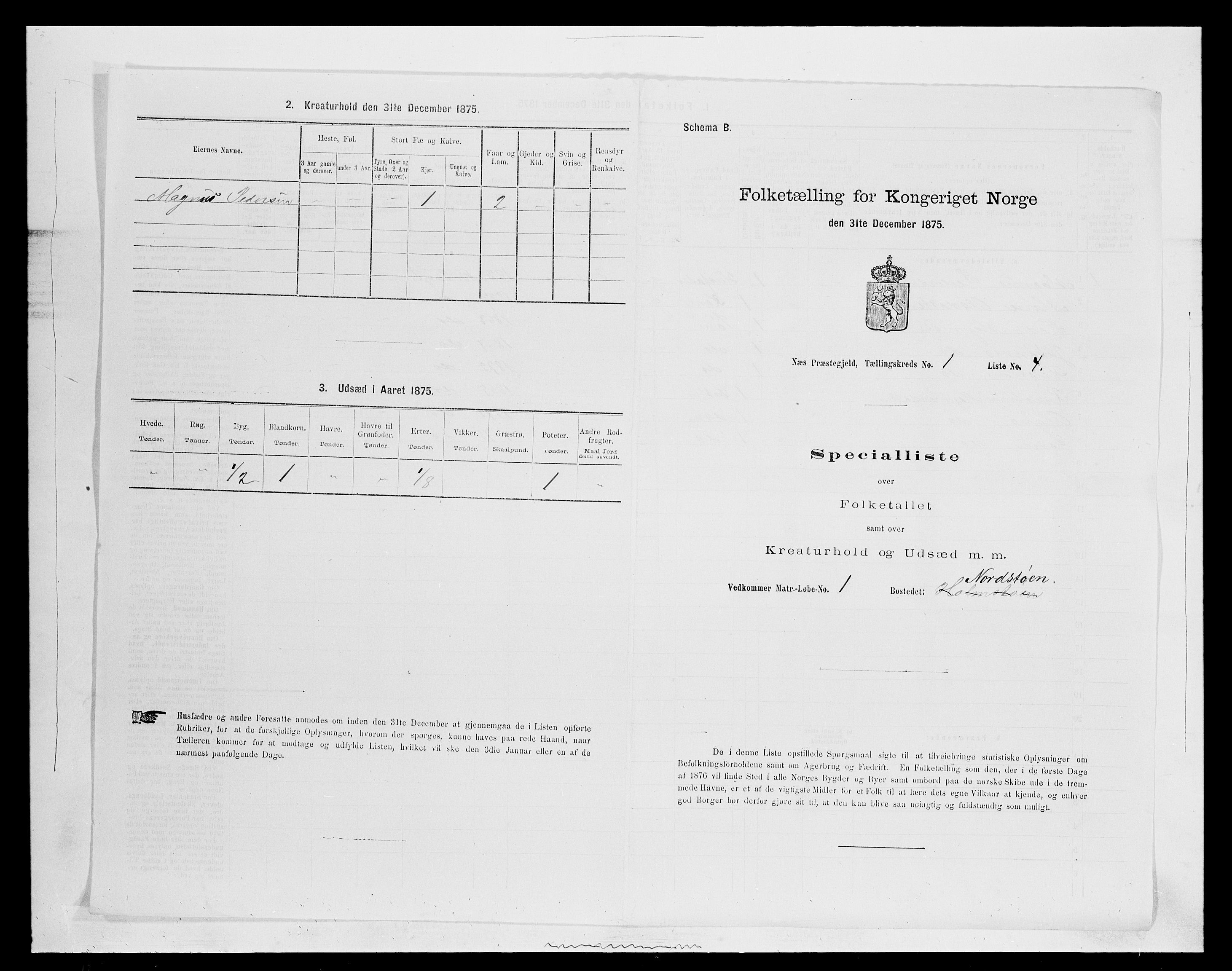 SAH, 1875 census for 0411P Nes, 1875, p. 86