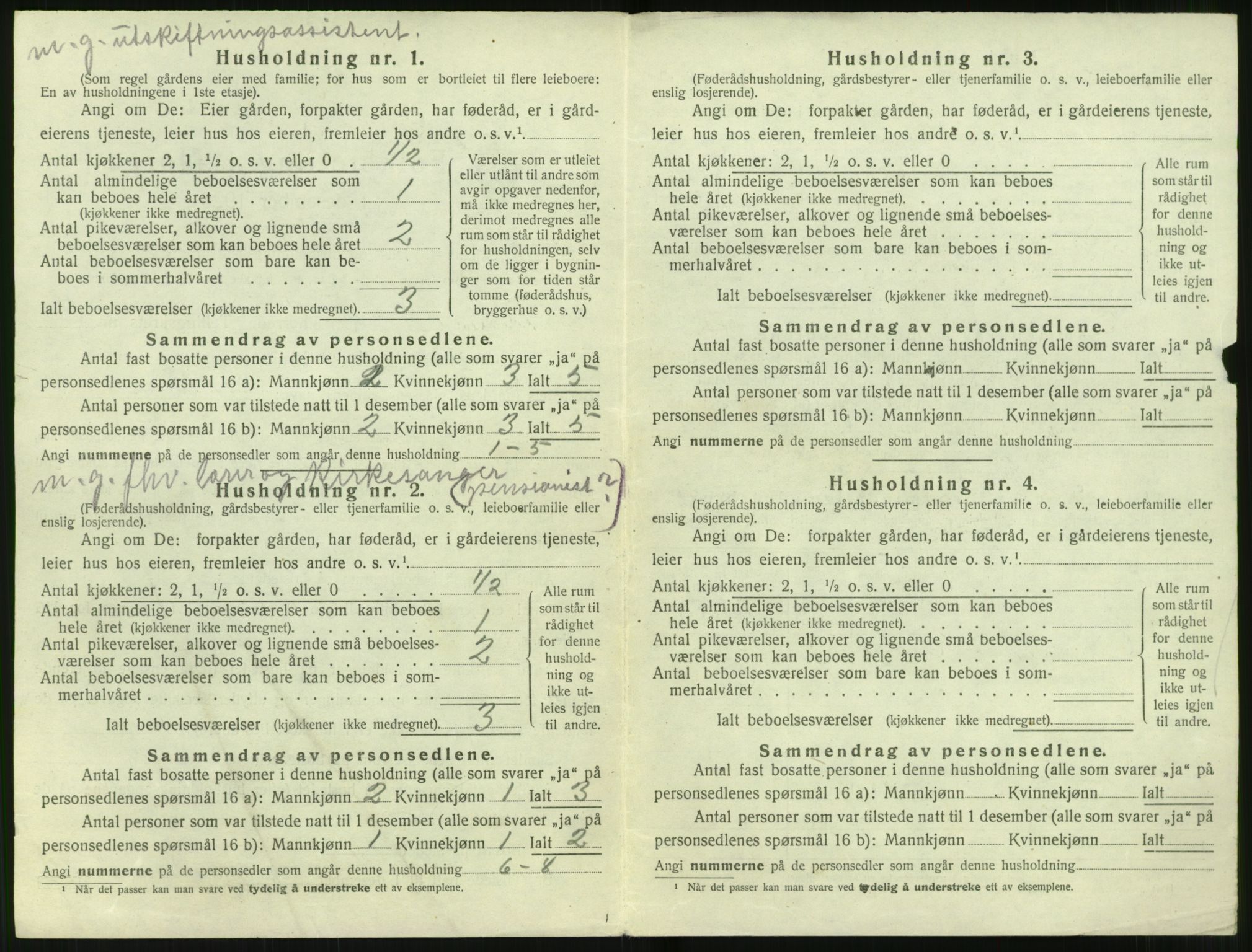 SAT, 1920 census for Sunnylven, 1920, p. 217