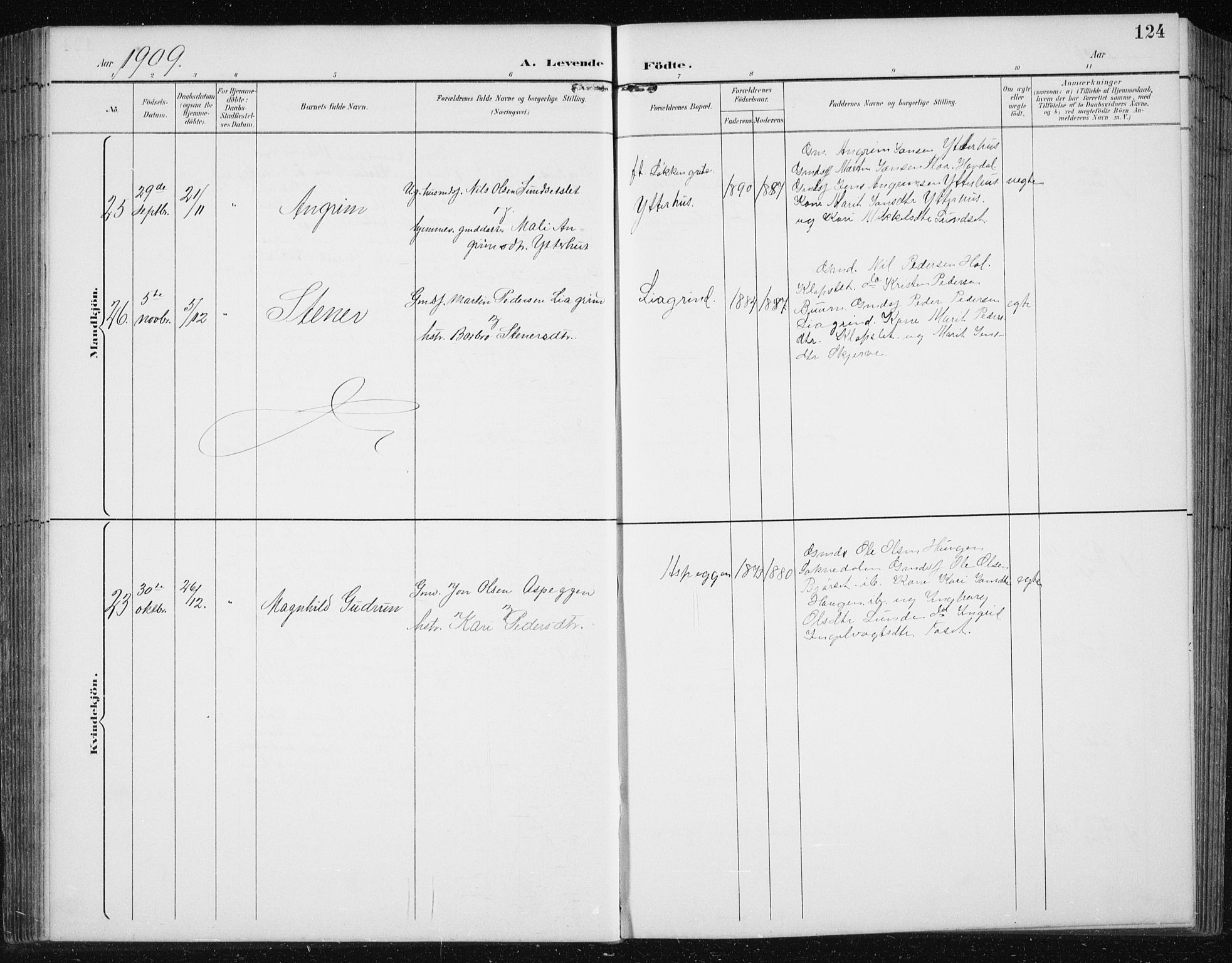 Ministerialprotokoller, klokkerbøker og fødselsregistre - Sør-Trøndelag, SAT/A-1456/674/L0876: Parish register (copy) no. 674C03, 1892-1912, p. 124