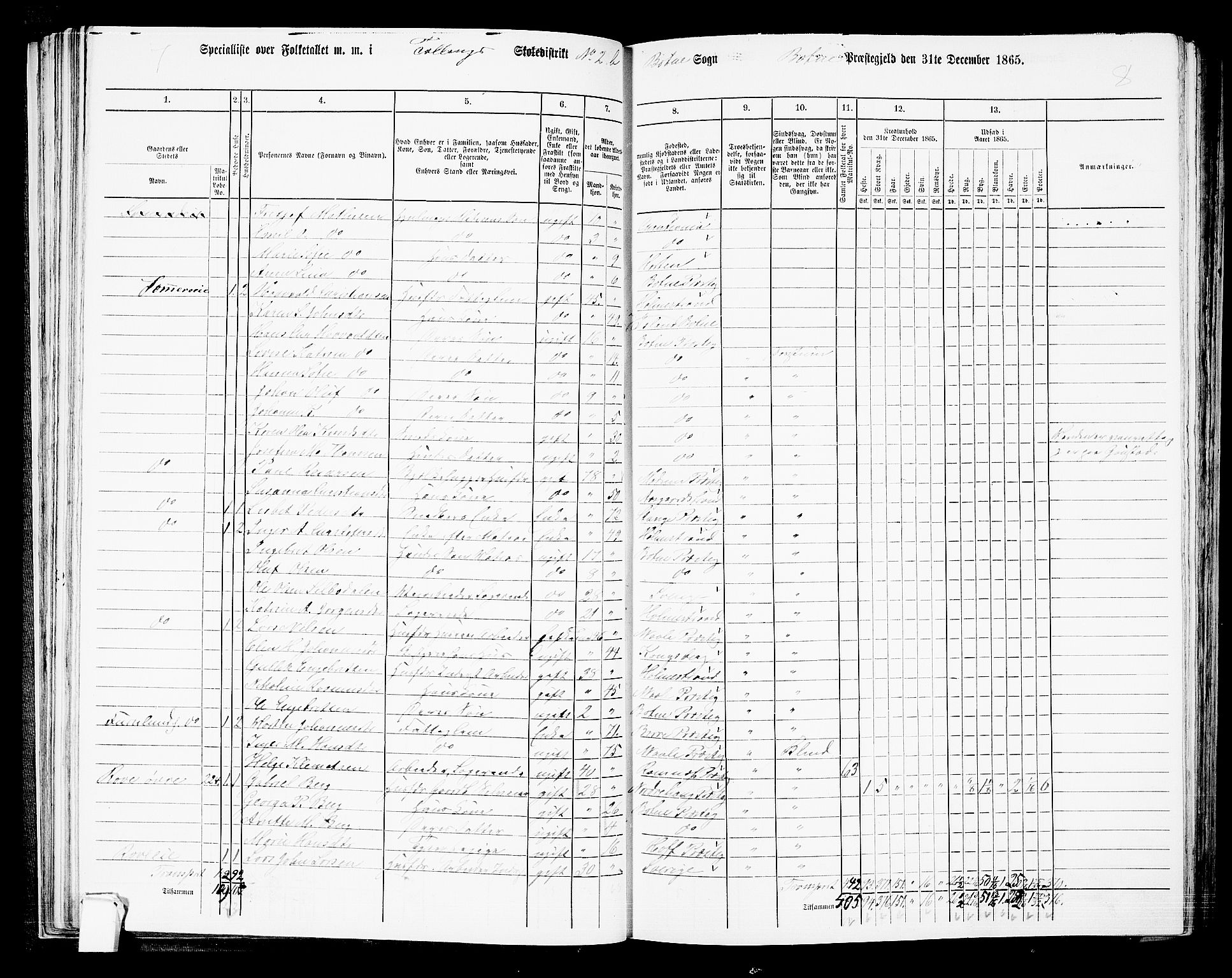 RA, 1865 census for Botne/Botne og Hillestad, 1865, p. 50