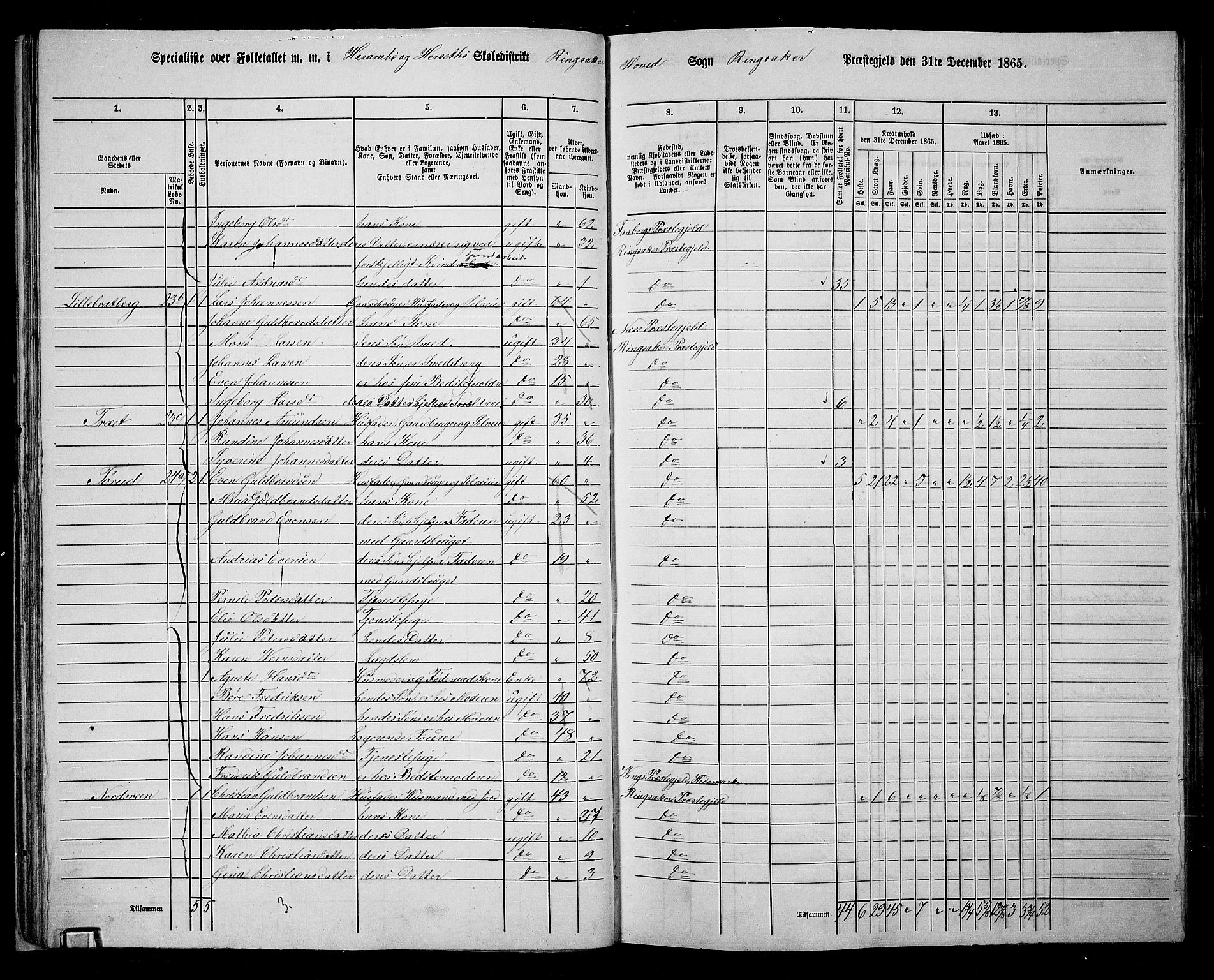 RA, 1865 census for Ringsaker, 1865, p. 54