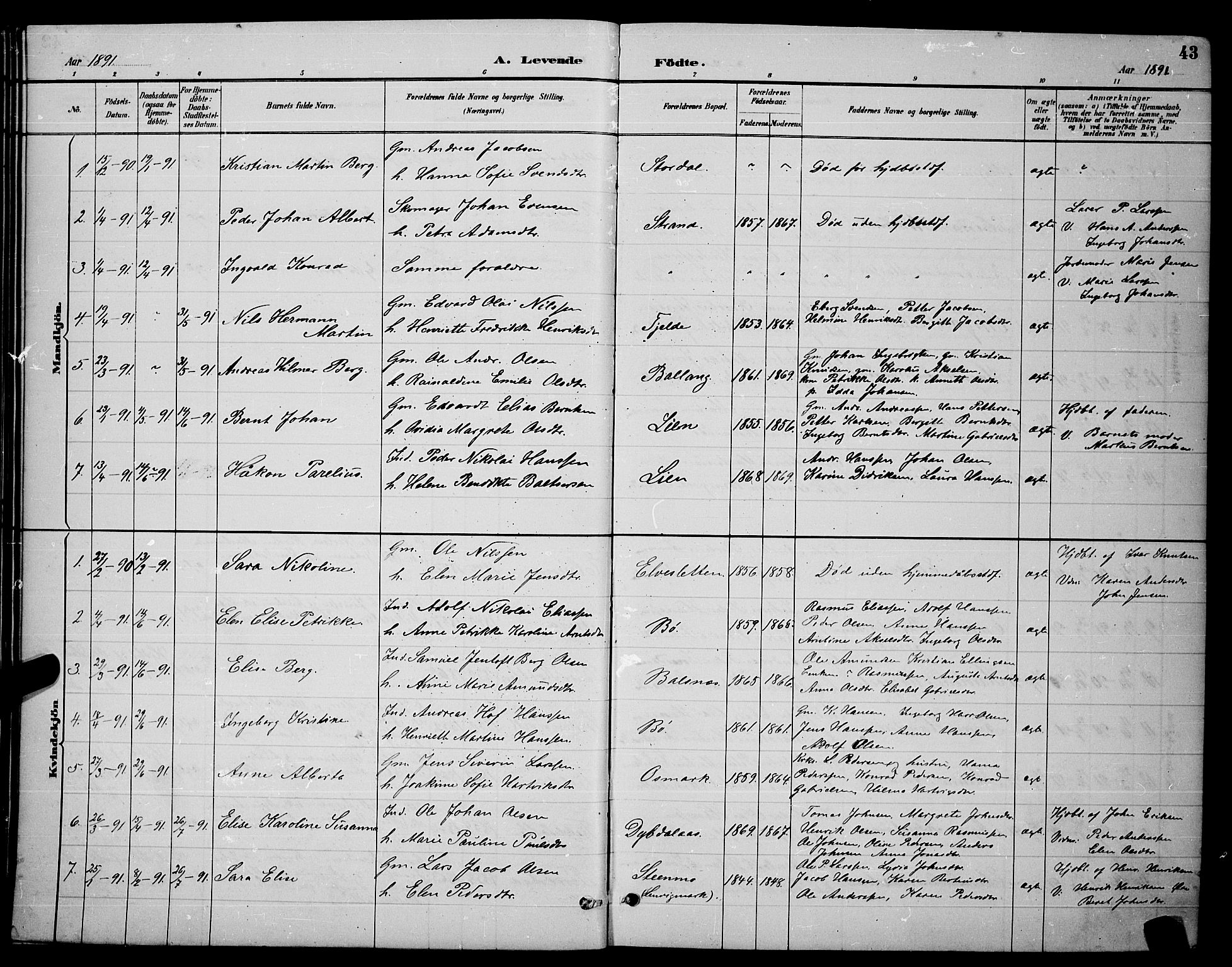 Ministerialprotokoller, klokkerbøker og fødselsregistre - Nordland, SAT/A-1459/863/L0914: Parish register (copy) no. 863C04, 1886-1897, p. 43