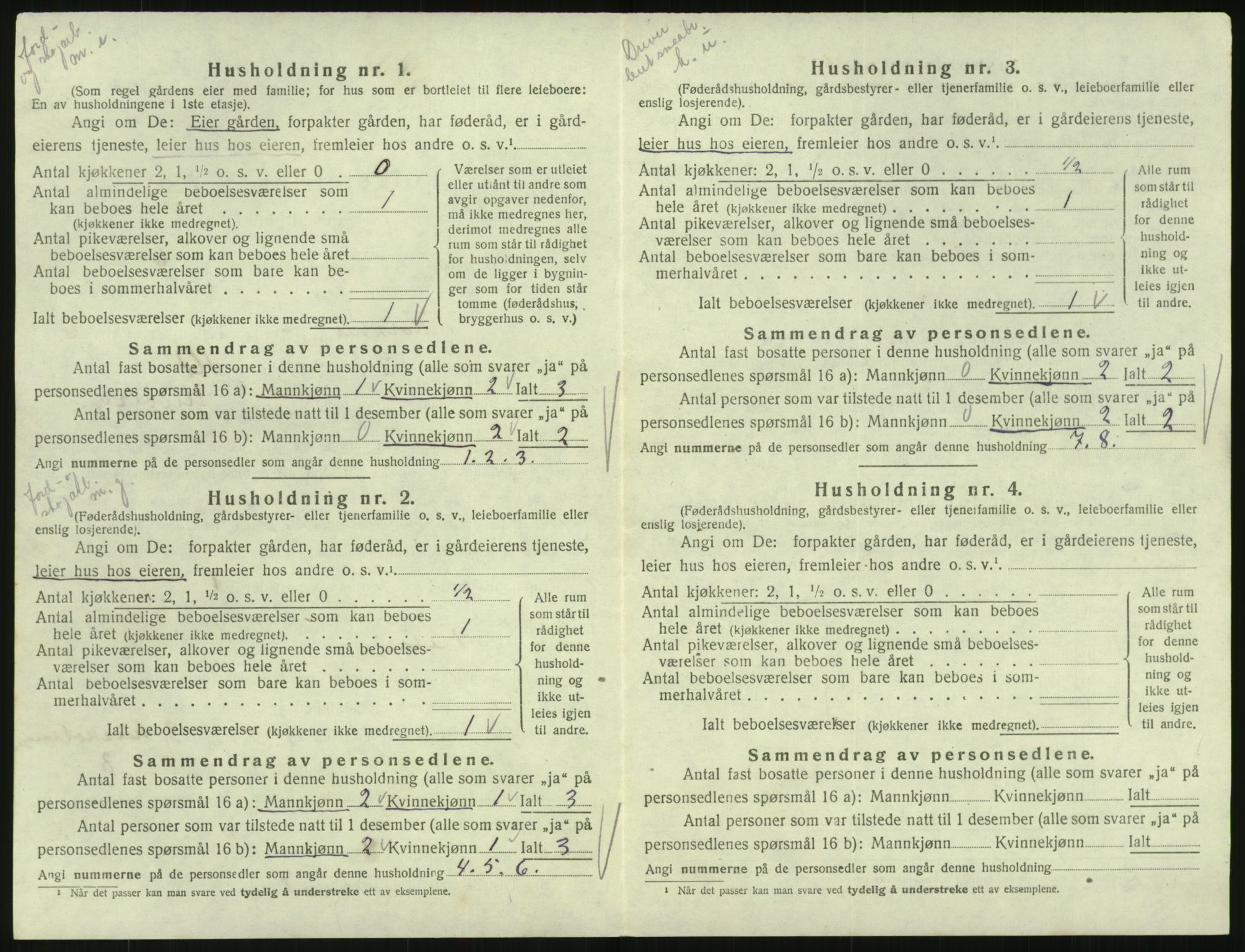 SAK, 1920 census for Hornnes, 1920, p. 256
