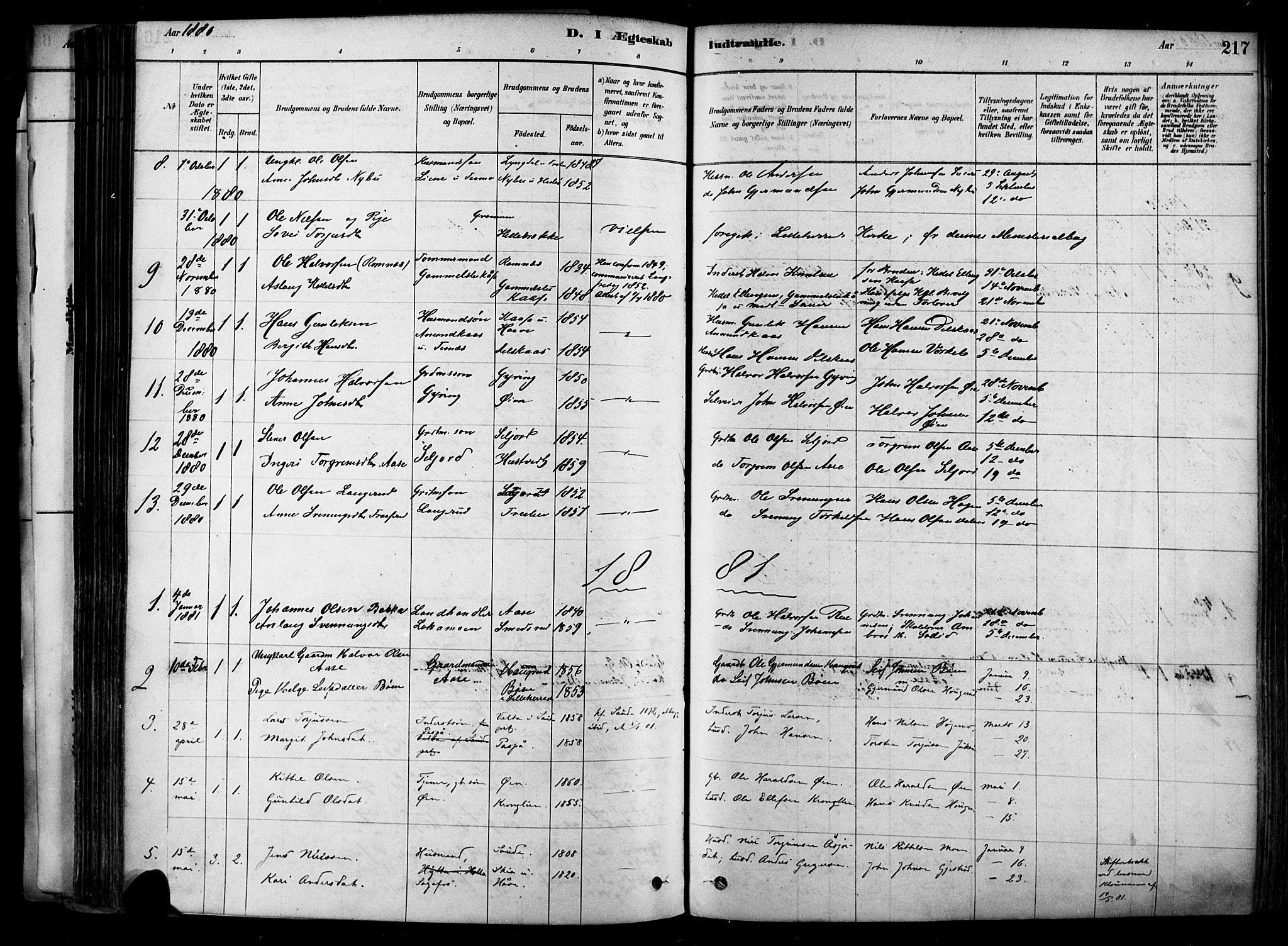 Heddal kirkebøker, AV/SAKO-A-268/F/Fa/L0008: Parish register (official) no. I 8, 1878-1903, p. 217