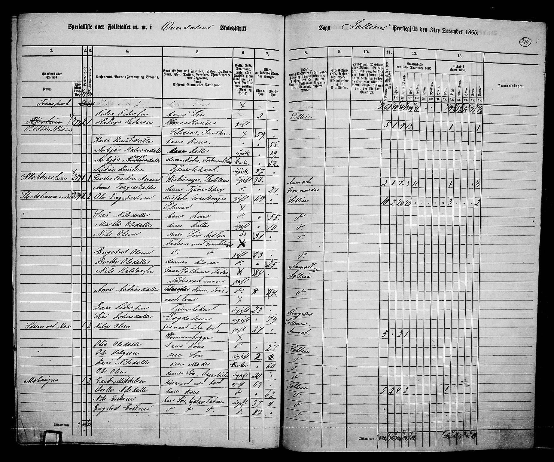 RA, 1865 census for Sollia, 1865, p. 19