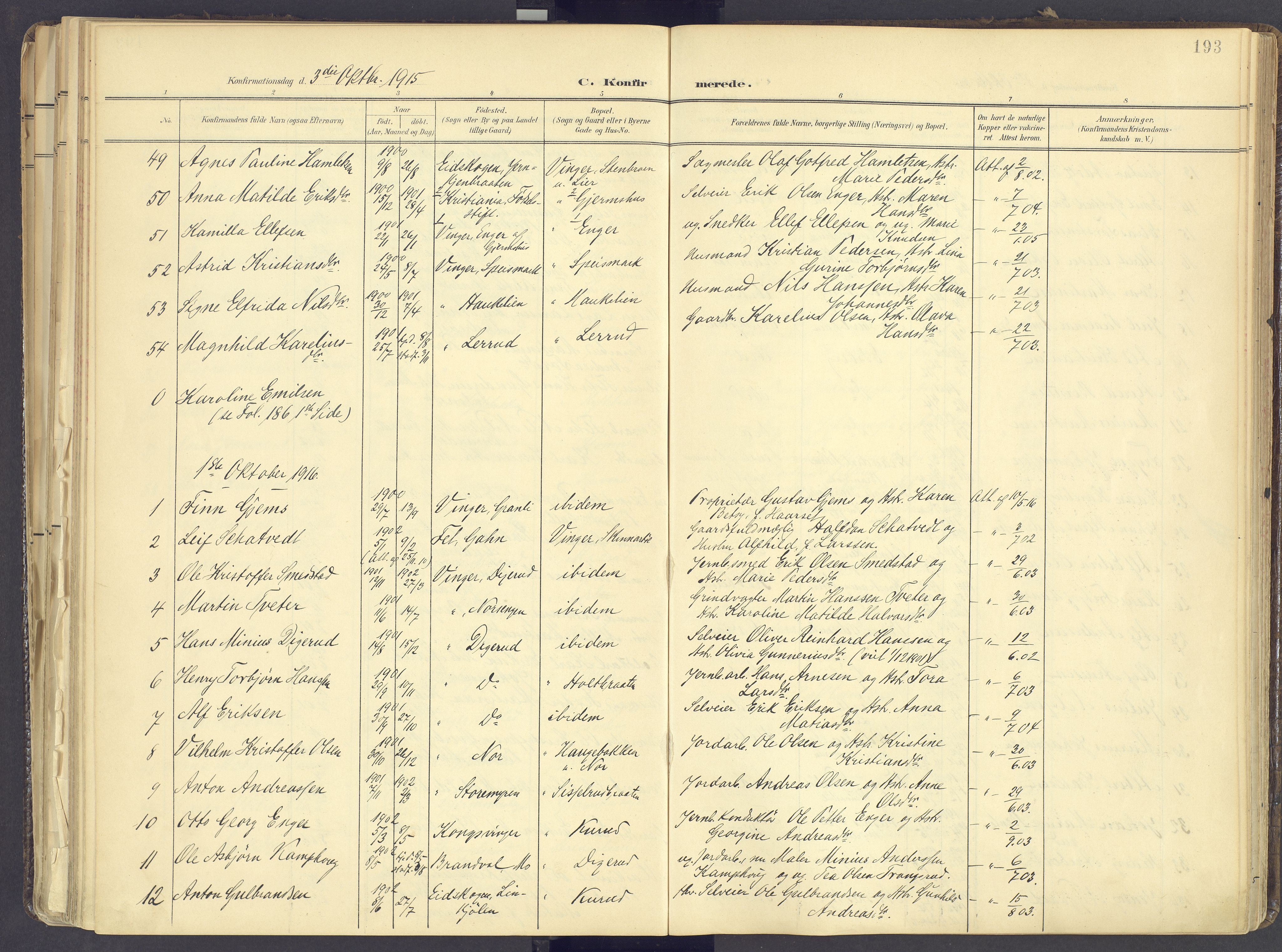 Vinger prestekontor, AV/SAH-PREST-024/H/Ha/Haa/L0017: Parish register (official) no. 17, 1901-1927, p. 193