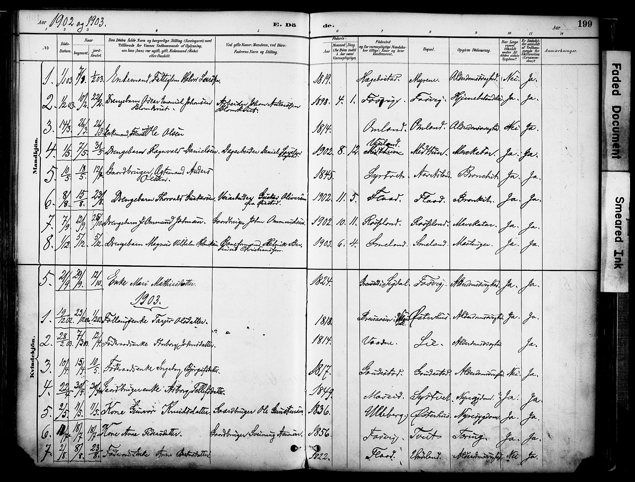 Evje sokneprestkontor, AV/SAK-1111-0008/F/Fa/Faa/L0007: Parish register (official) no. A 7, 1884-1909, p. 199