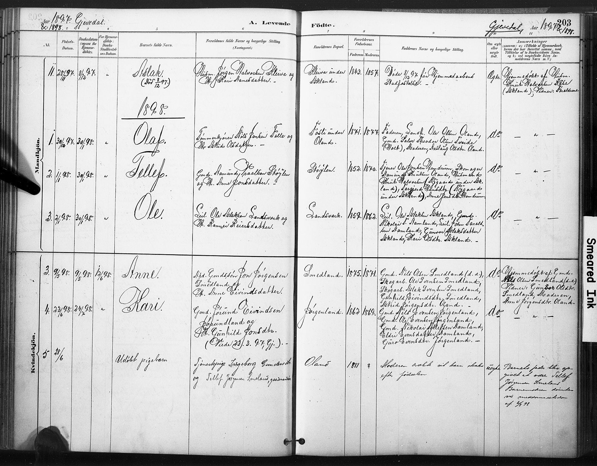 Åmli sokneprestkontor, AV/SAK-1111-0050/F/Fa/Fac/L0010: Parish register (official) no. A 10 /2, 1885-1899, p. 203