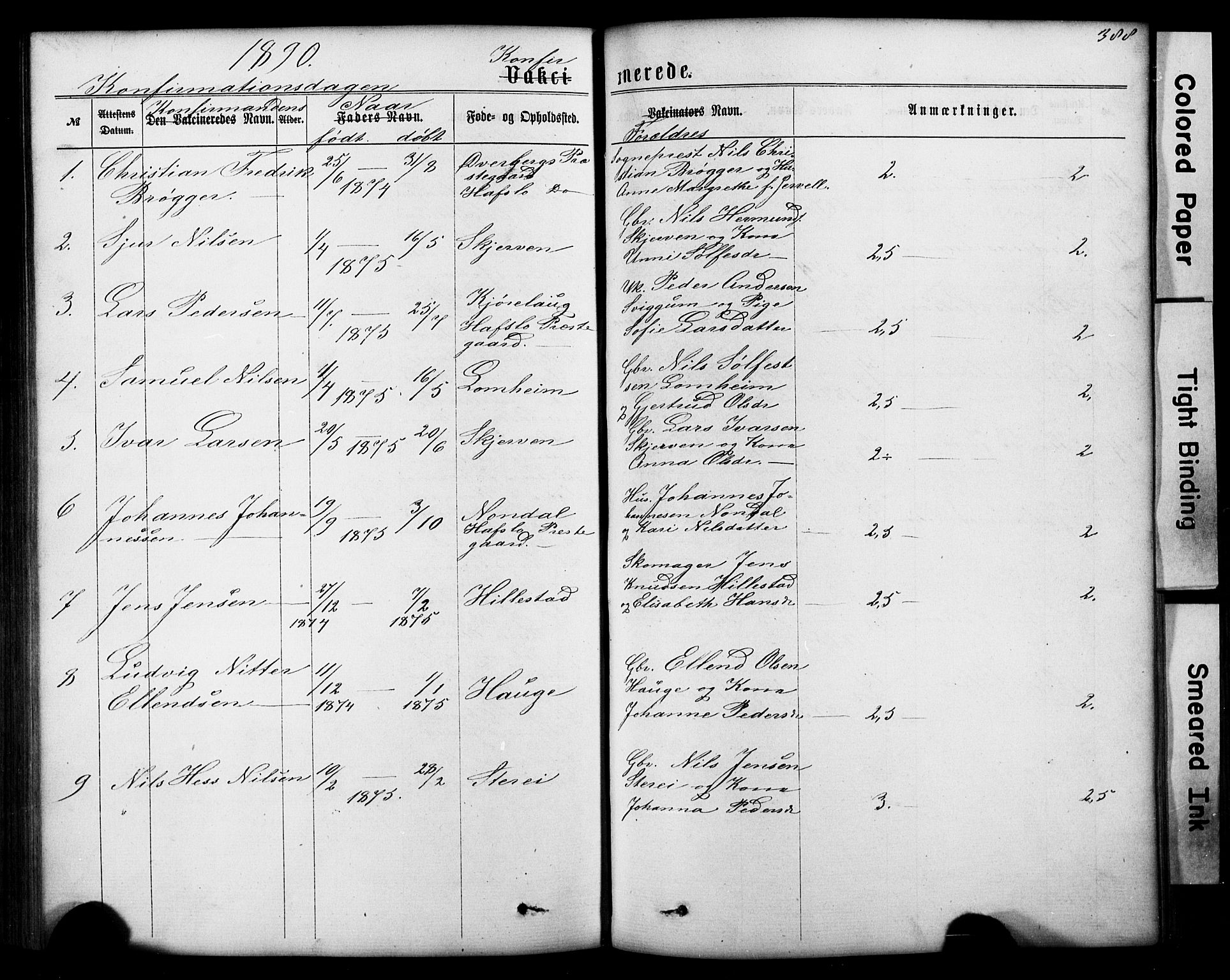 Hafslo sokneprestembete, SAB/A-80301/H/Hab/Haba/L0001: Parish register (copy) no. A 1, 1866-1908, p. 388