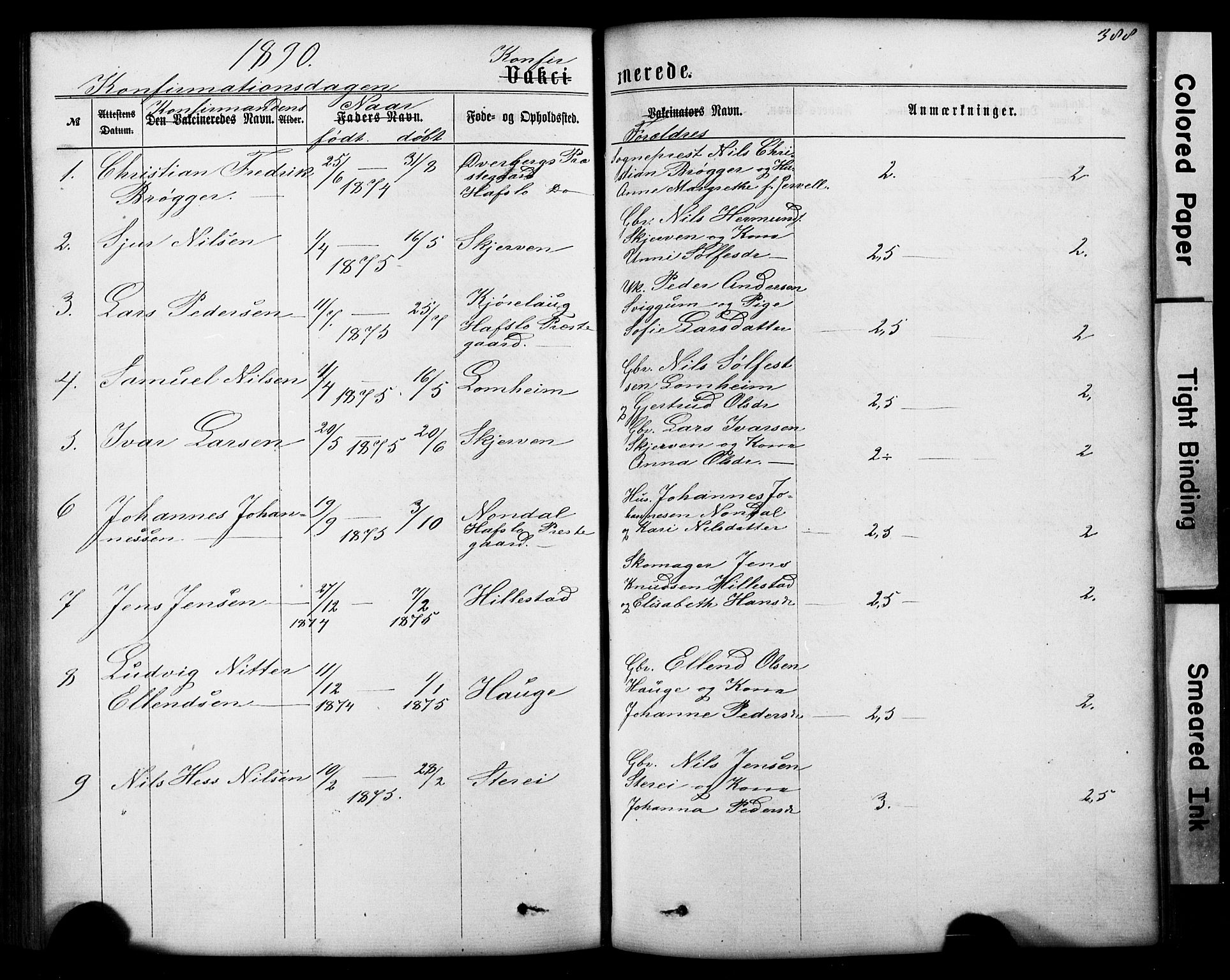 Hafslo sokneprestembete, AV/SAB-A-80301/H/Hab/Haba/L0001: Parish register (copy) no. A 1, 1866-1908, p. 388