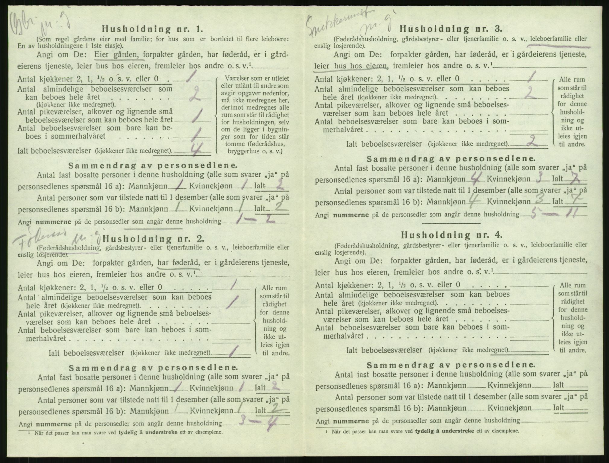 SAT, 1920 census for Borgund, 1920, p. 2207