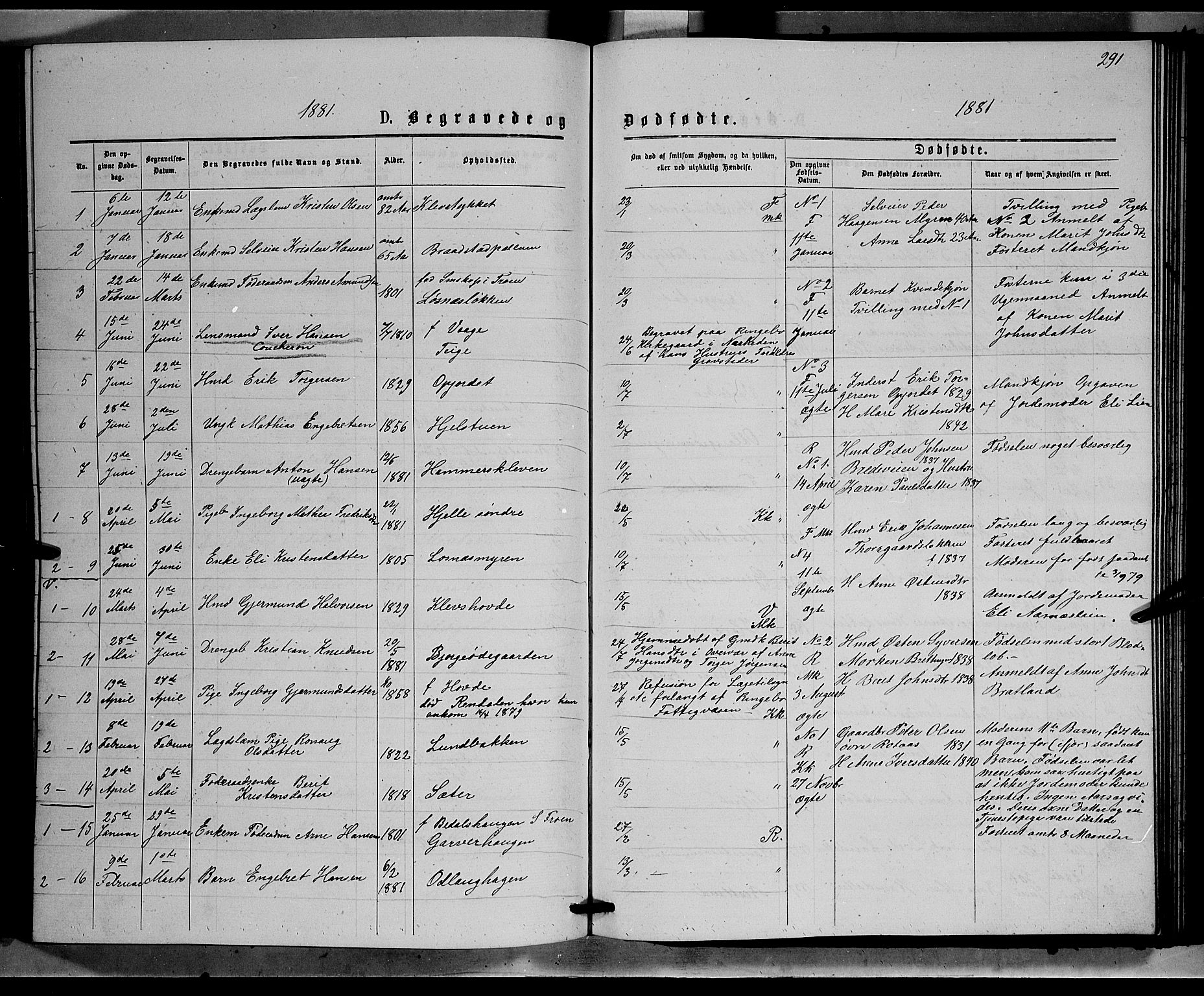 Ringebu prestekontor, SAH/PREST-082/H/Ha/Hab/L0006: Parish register (copy) no. 6, 1880-1898, p. 291