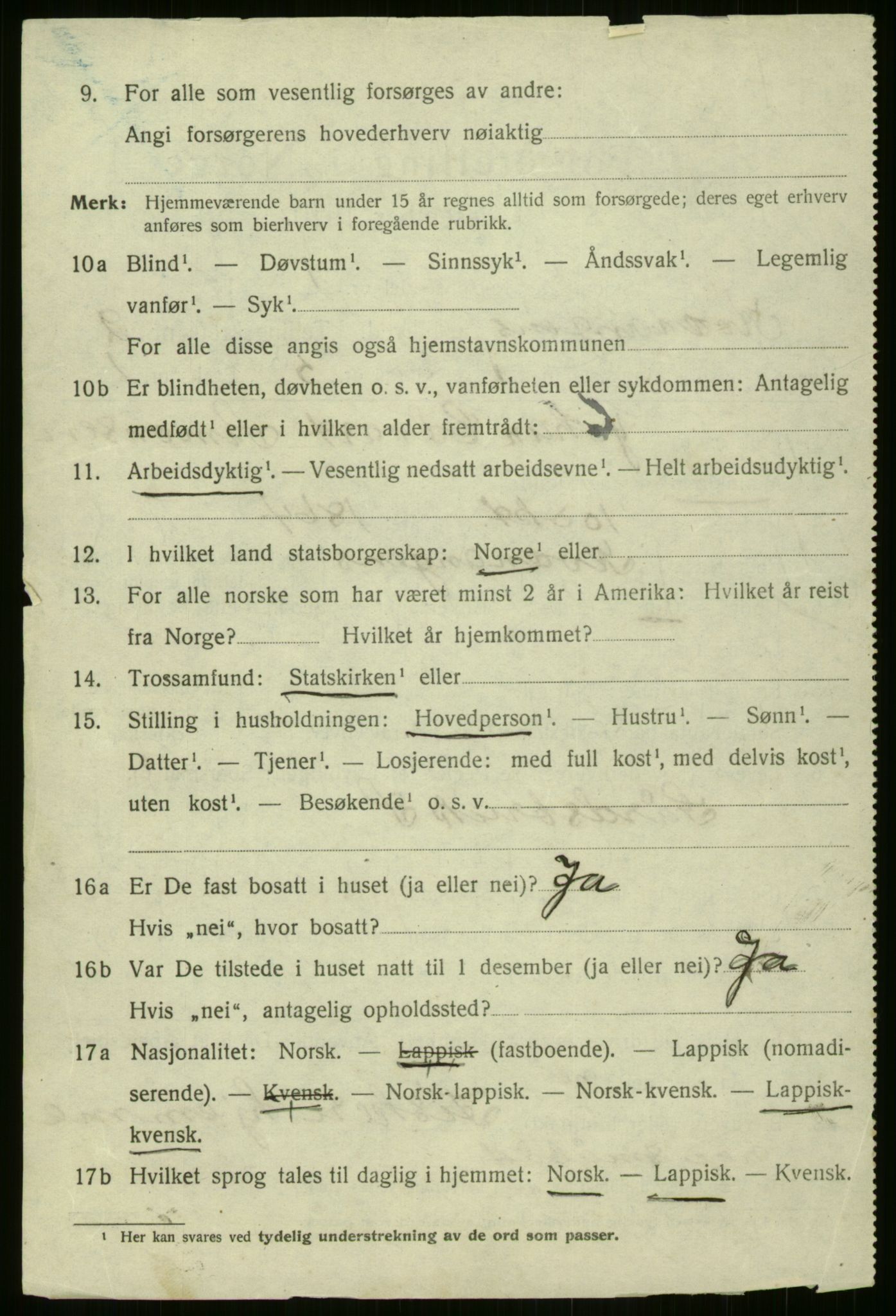 SATØ, 1920 census for Kvænangen, 1920, p. 1217